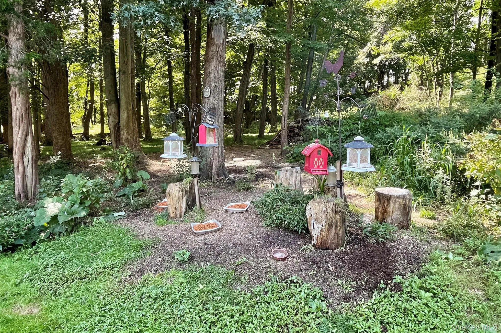 1168 Craigville Road, Blooming Grove, NY, 4 Bedrooms Bedrooms, 12 Rooms Rooms,2 BathroomsBathrooms,Residential,For Rent,Craigville,0,1050193 1168 Craigville Road, Blooming Grove, NY, 4 Bedrooms Bedrooms, 12 Rooms Rooms,2 BathroomsBathrooms,Residential,For Rent,Craigville,0,1050193