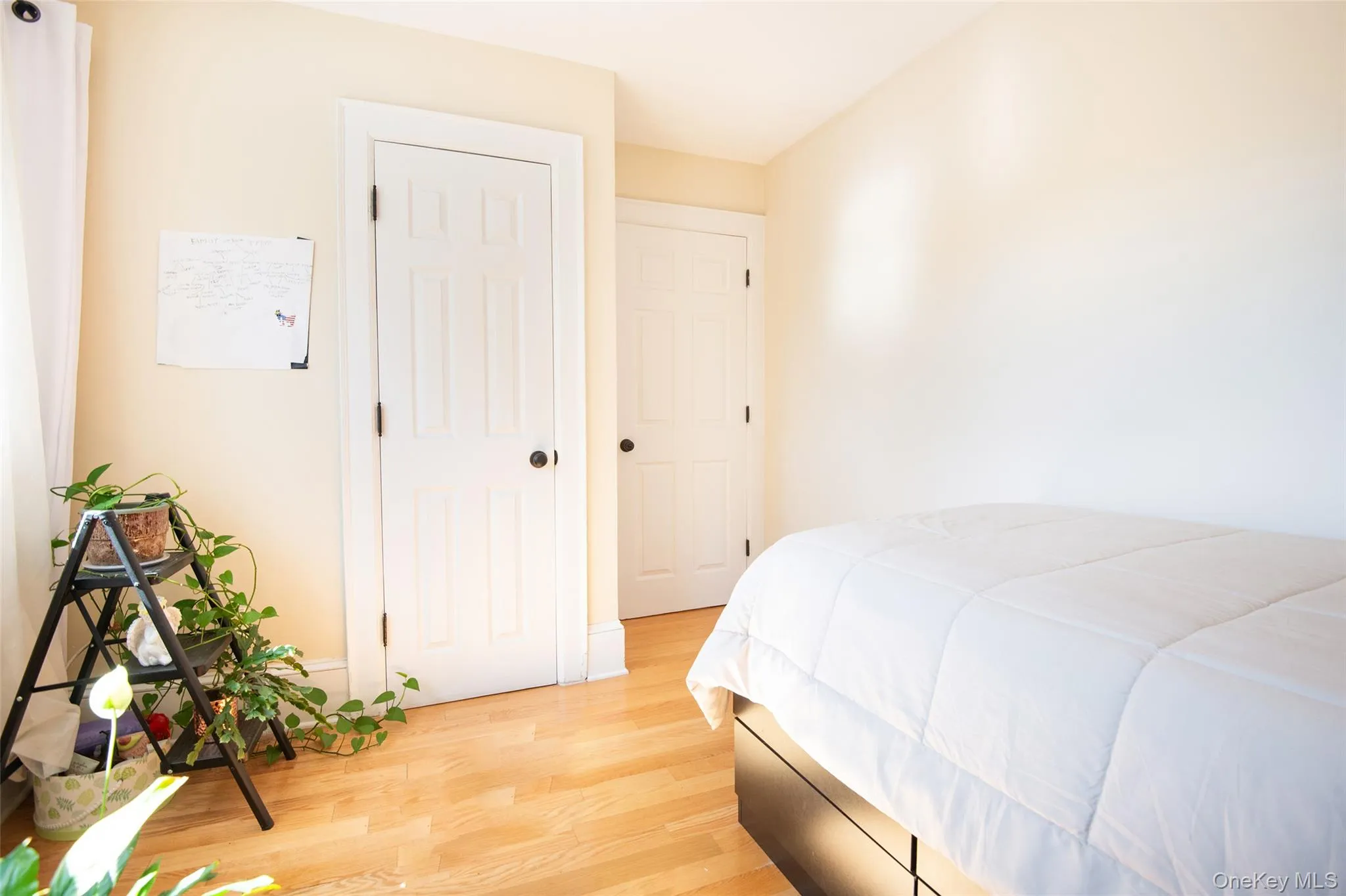 38 Emmett Terrace, New Rochelle, NY, 3 Bedrooms Bedrooms, 7 Rooms Rooms,1 BathroomBathrooms,Residential,For Rent,Emmett,0,1050199 38 Emmett Terrace, New Rochelle, NY, 3 Bedrooms Bedrooms, 7 Rooms Rooms,1 BathroomBathrooms,Residential,For Rent,Emmett,0,1050199
