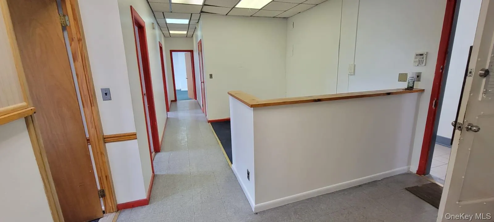 684 684 Britton St Street, New York, NY, ,Commercial Lease,For Rent,684 Britton St,0,1050205 684 684 Britton St Street, New York, NY, ,Commercial Lease,For Rent,684 Britton St,0,1050205