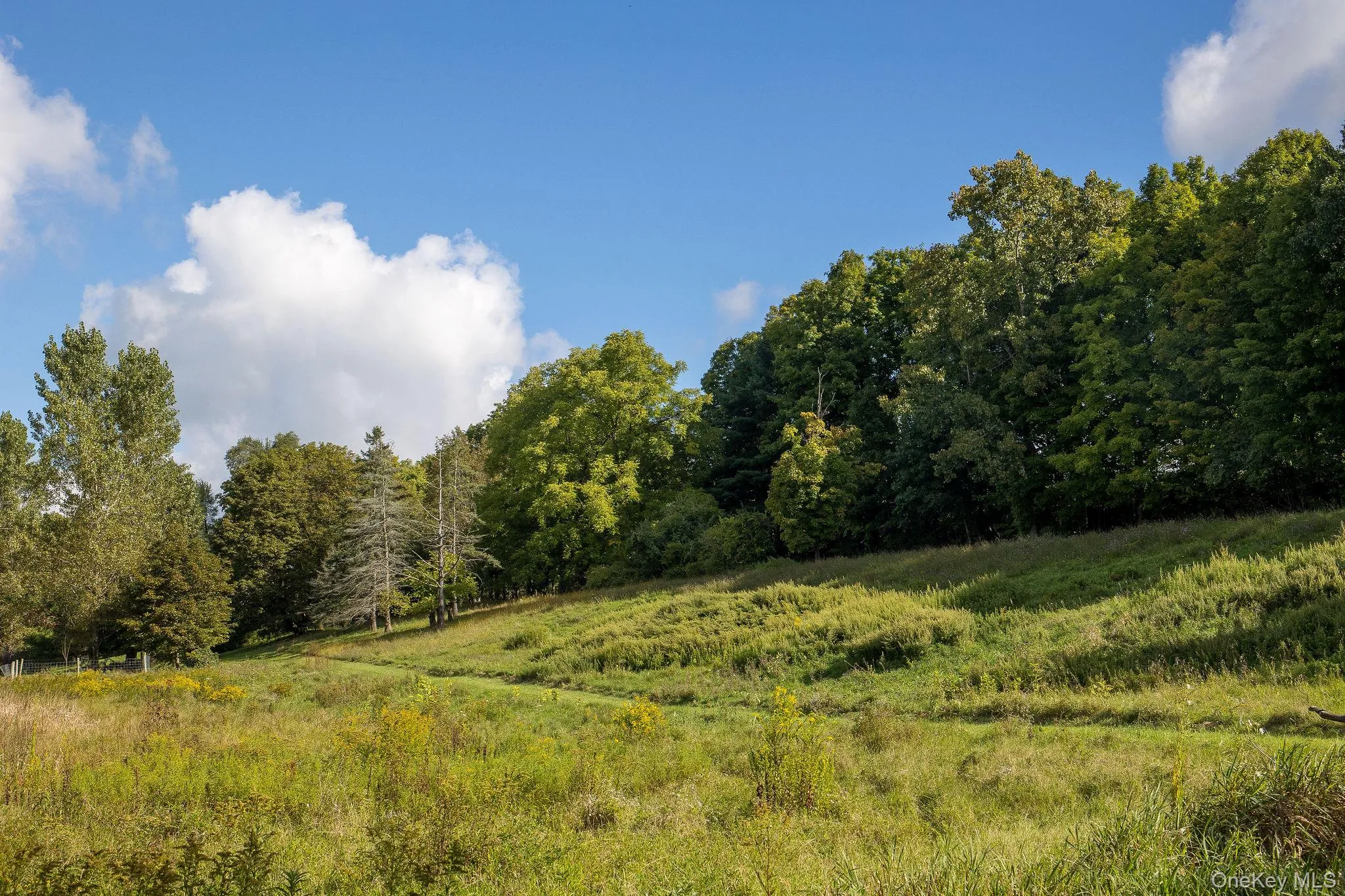 861 Snydertown Road, Claverack, NY, 3 Bedrooms Bedrooms, 9 Rooms Rooms,1 BathroomBathrooms,Residential,For Rent,Snydertown,0,1050229 861 Snydertown Road, Claverack, NY, 3 Bedrooms Bedrooms, 9 Rooms Rooms,1 BathroomBathrooms,Residential,For Rent,Snydertown,0,1050229