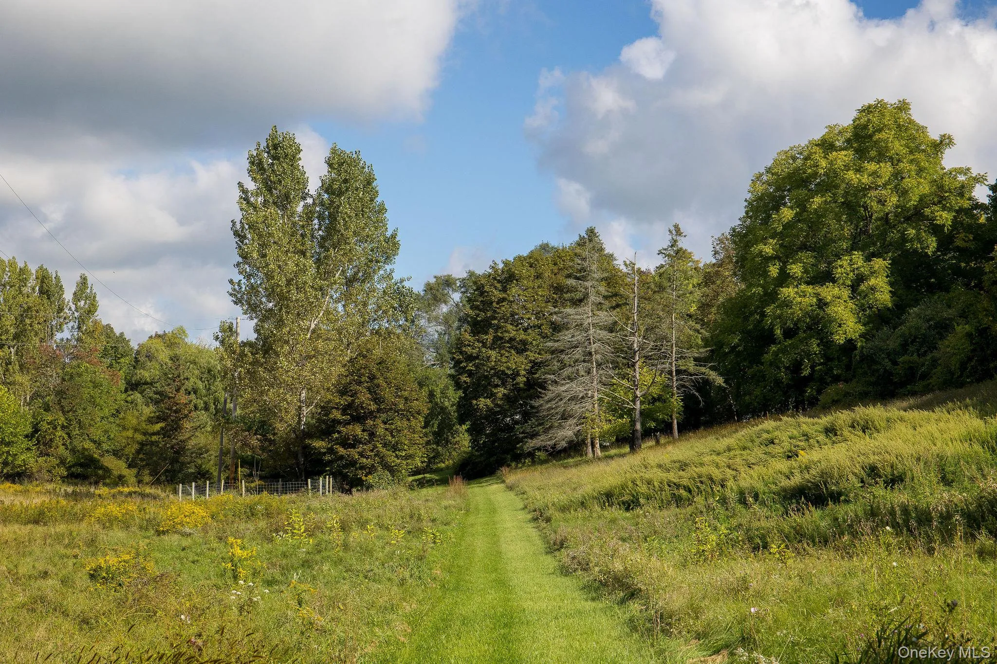 861 Snydertown Road, Claverack, NY, 3 Bedrooms Bedrooms, 9 Rooms Rooms,1 BathroomBathrooms,Residential,For Rent,Snydertown,0,1050229 861 Snydertown Road, Claverack, NY, 3 Bedrooms Bedrooms, 9 Rooms Rooms,1 BathroomBathrooms,Residential,For Rent,Snydertown,0,1050229