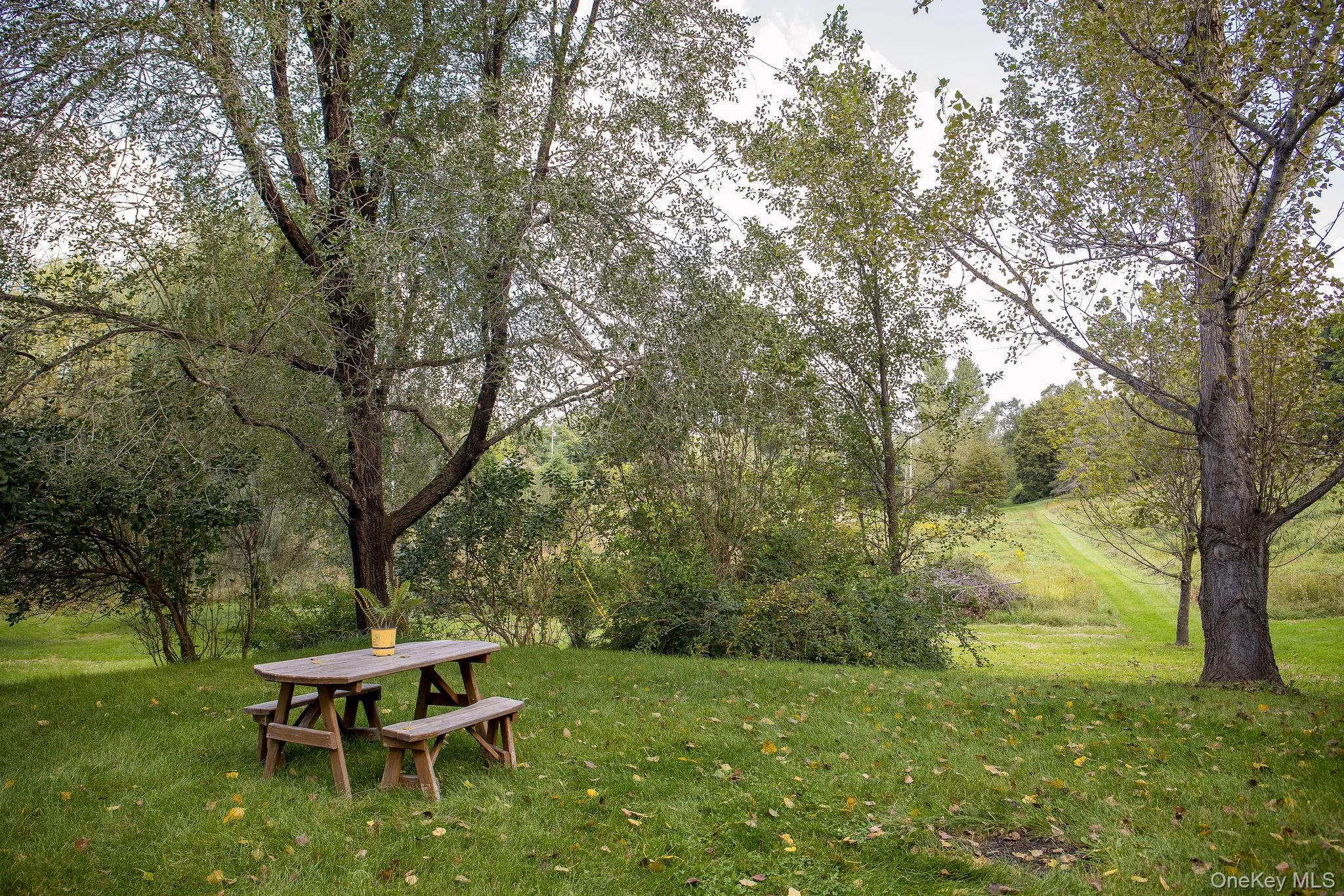 861 Snydertown Road, Claverack, NY, 3 Bedrooms Bedrooms, 9 Rooms Rooms,1 BathroomBathrooms,Residential,For Rent,Snydertown,0,1050229 861 Snydertown Road, Claverack, NY, 3 Bedrooms Bedrooms, 9 Rooms Rooms,1 BathroomBathrooms,Residential,For Rent,Snydertown,0,1050229
