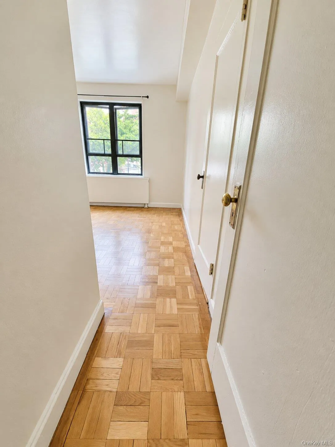 1920 Mc Graw Avenue, New York, NY, 3 Bedroom Bedrooms, 5 Room Rooms,1 BathroomBathrooms,Residential Lease,For Rent,Mc Graw,0,1050236 1920 Mc Graw Avenue, New York, NY, 3 Bedroom Bedrooms, 5 Room Rooms,1 BathroomBathrooms,Residential Lease,For Rent,Mc Graw,0,1050236