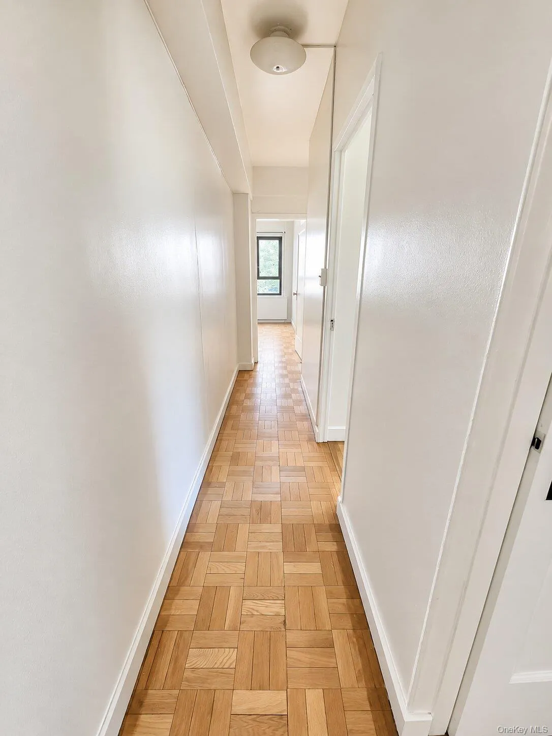 1920 Mc Graw Avenue, New York, NY, 3 Bedroom Bedrooms, 5 Room Rooms,1 BathroomBathrooms,Residential Lease,For Rent,Mc Graw,0,1050236 1920 Mc Graw Avenue, New York, NY, 3 Bedroom Bedrooms, 5 Room Rooms,1 BathroomBathrooms,Residential Lease,For Rent,Mc Graw,0,1050236