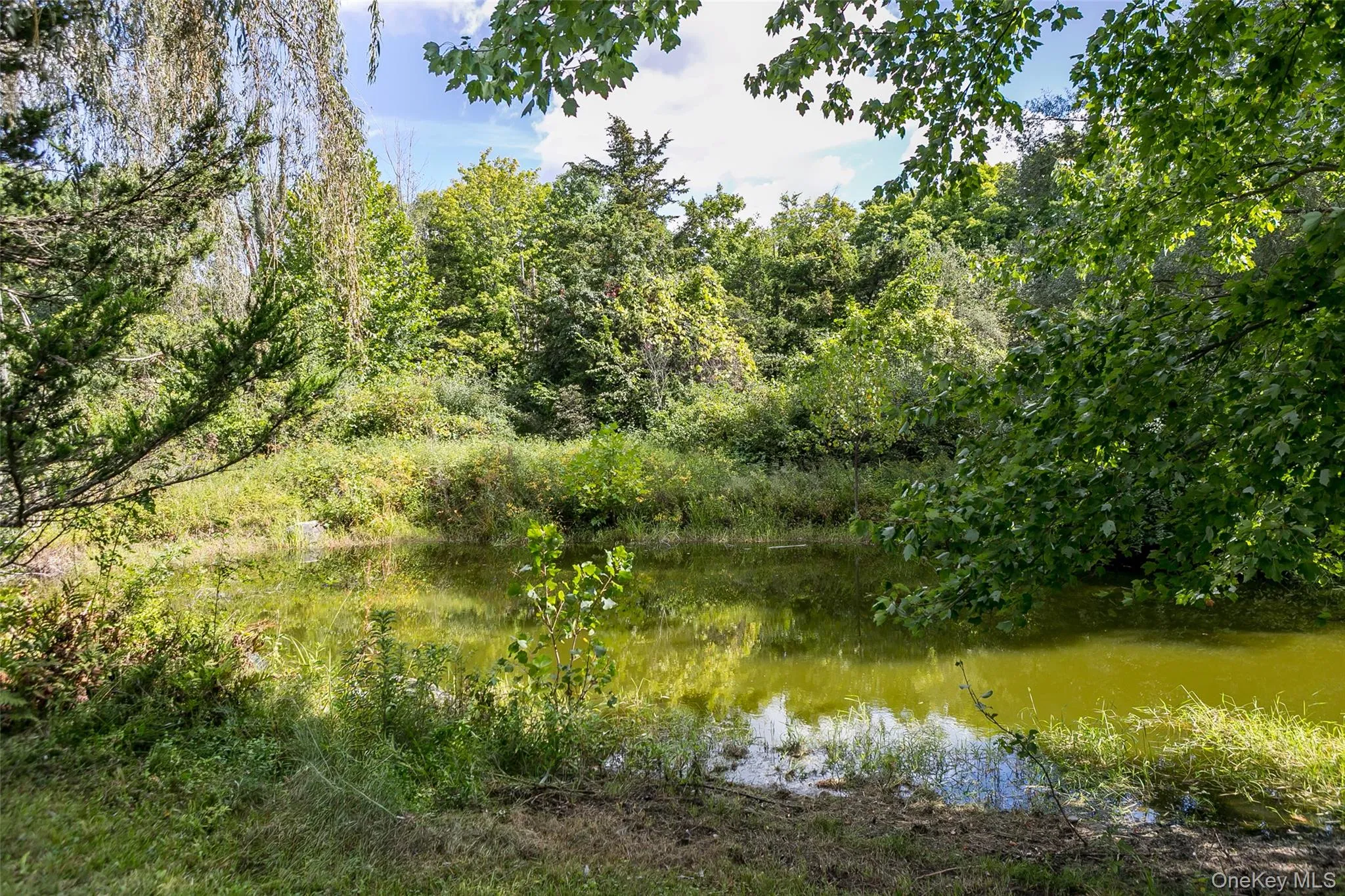 847 Route 82, Taghkanic, NY, 3 Bedrooms Bedrooms, 7 Rooms Rooms,1 BathroomBathrooms,Residential,For Rent,Route 82,0,1050256 847 Route 82, Taghkanic, NY, 3 Bedrooms Bedrooms, 7 Rooms Rooms,1 BathroomBathrooms,Residential,For Rent,Route 82,0,1050256