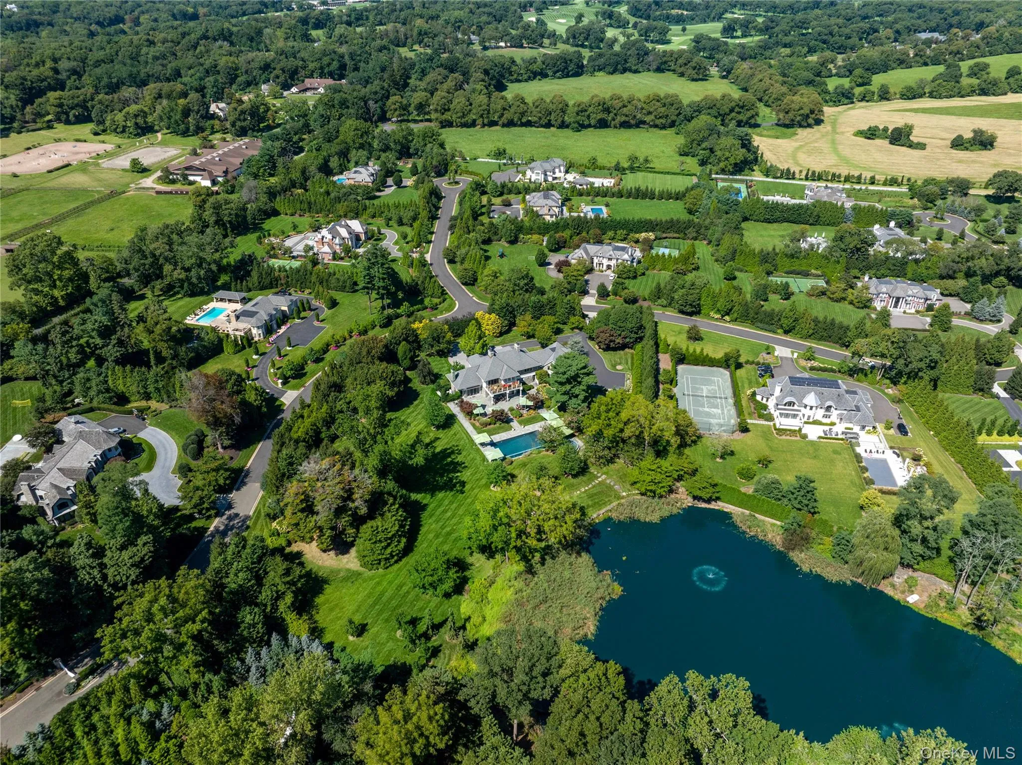 1 Hidden Pond Drive, Oyster Bay, NY, 7 Bedrooms Bedrooms, 12 Rooms Rooms,9 BathroomsBathrooms,Residential,For Rent,Hidden Pond,0,1050297 1 Hidden Pond Drive, Oyster Bay, NY, 7 Bedrooms Bedrooms, 12 Rooms Rooms,9 BathroomsBathrooms,Residential,For Rent,Hidden Pond,0,1050297