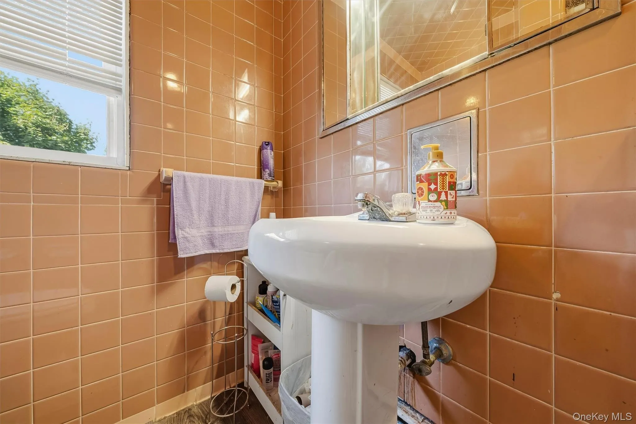 191 Wickham Avenue, Middletown, NY, 4 Bedrooms Bedrooms, 10 Rooms Rooms,1 BathroomBathrooms,Residential,For Rent,Wickham,0,1050322 191 Wickham Avenue, Middletown, NY, 4 Bedrooms Bedrooms, 10 Rooms Rooms,1 BathroomBathrooms,Residential,For Rent,Wickham,0,1050322