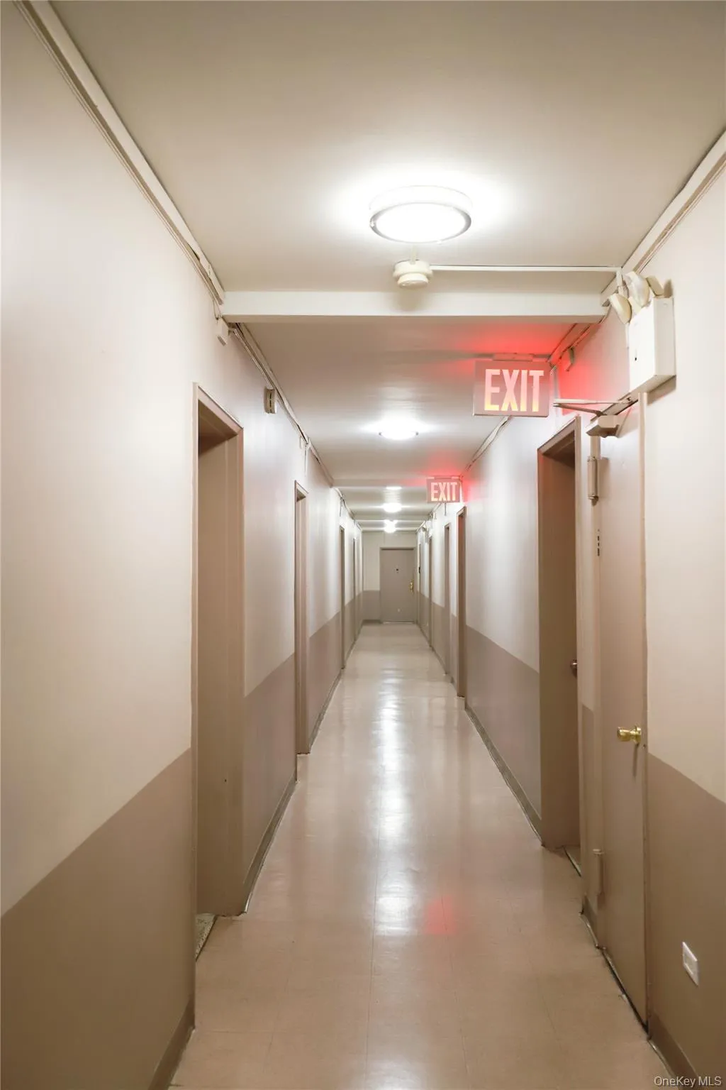 53-11 90th Street, New York, NY, 3 Rooms Rooms,1 BathroomBathrooms,Residential,For Rent,90th,0,1050372 53-11 90th Street, New York, NY, 3 Rooms Rooms,1 BathroomBathrooms,Residential,For Rent,90th,0,1050372