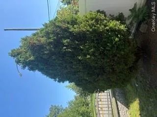 223-46 Hempstead Avenue, New York, NY, 3 Bedrooms Bedrooms, 7 Rooms Rooms,2 BathroomsBathrooms,Residential,For Rent,Hempstead,0,1050375 223-46 Hempstead Avenue, New York, NY, 3 Bedrooms Bedrooms, 7 Rooms Rooms,2 BathroomsBathrooms,Residential,For Rent,Hempstead,0,1050375