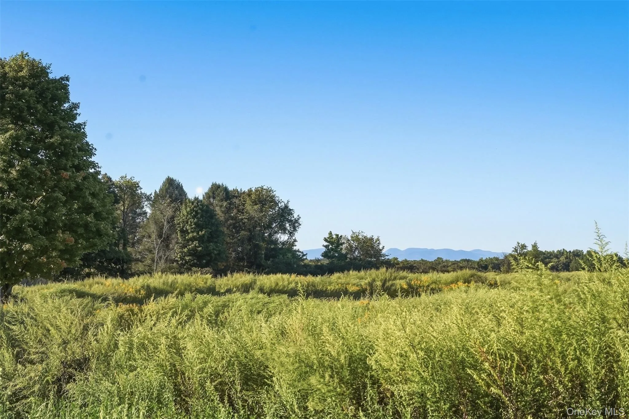 Costa Rd view, a stunning neighborhood to go for a stroll and enjoy your neighboring property Costa Rd view, a stunning neighborhood to go for a stroll and enjoy your neighboring property