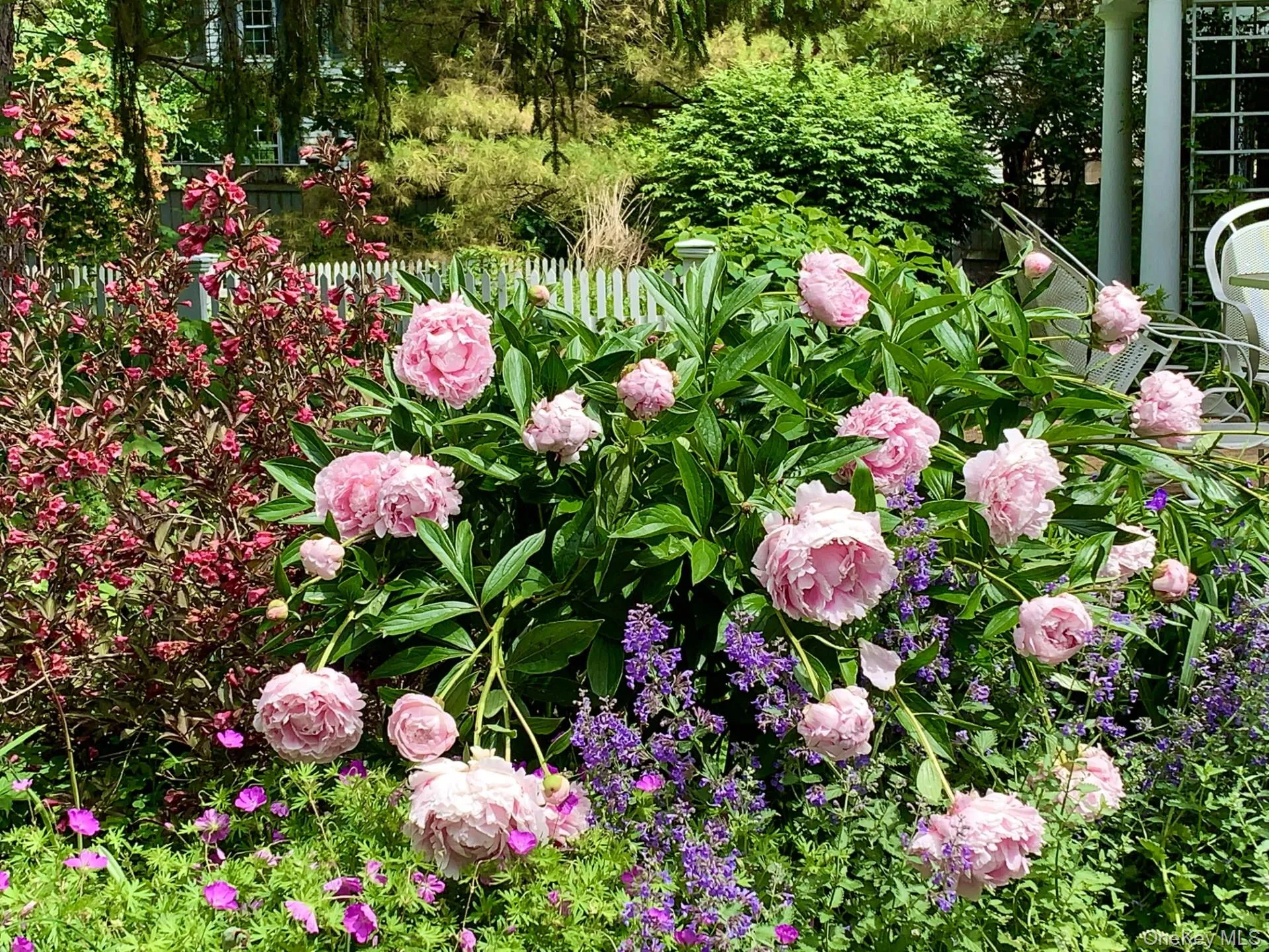 3244 Sharon Turnpike, Washington, NY, 4 Bedrooms Bedrooms, 16 Rooms Rooms,4 BathroomsBathrooms,Residential,For Rent,Sharon,0,1050448 3244 Sharon Turnpike, Washington, NY, 4 Bedrooms Bedrooms, 16 Rooms Rooms,4 BathroomsBathrooms,Residential,For Rent,Sharon,0,1050448