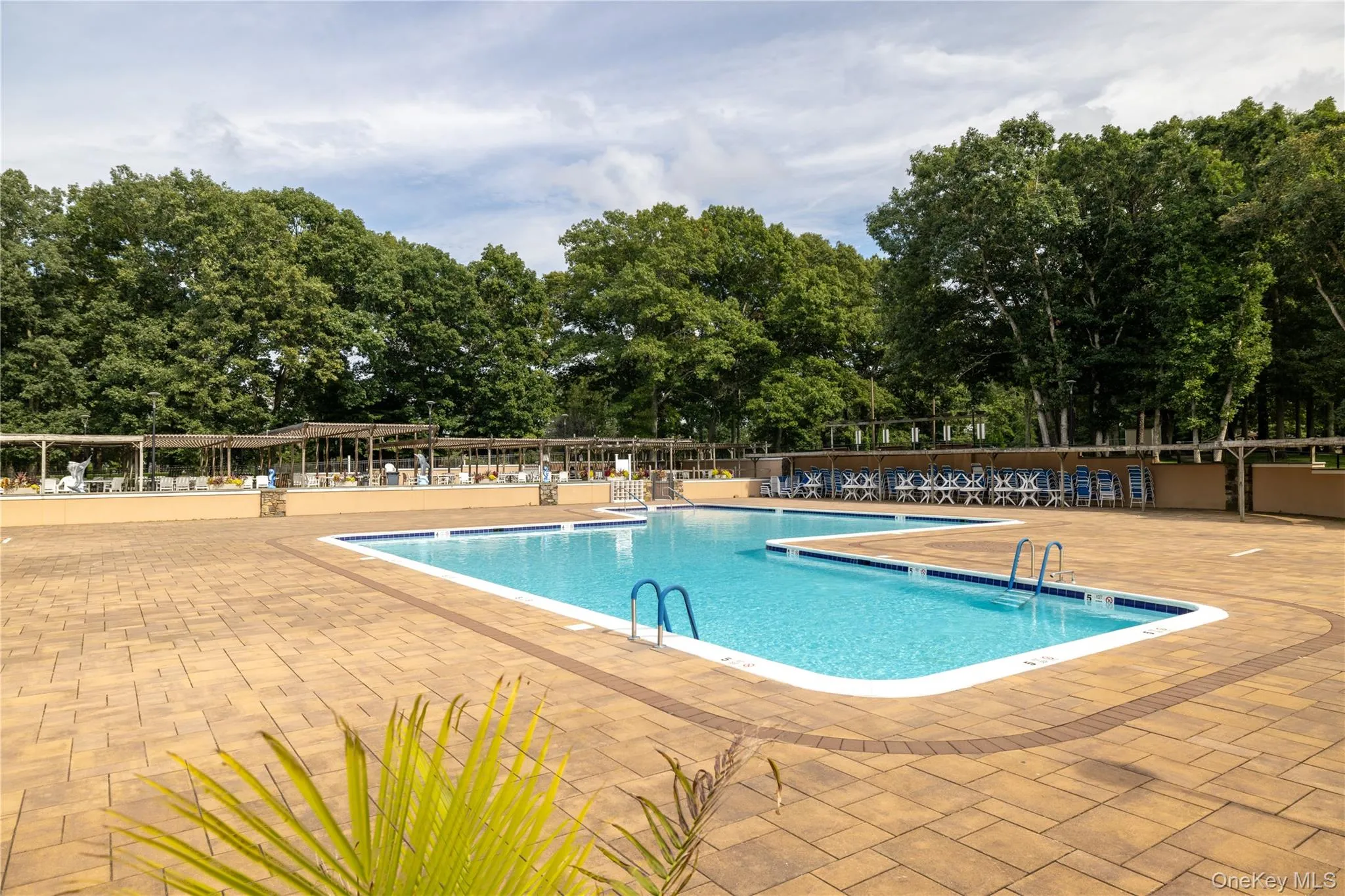 Community Outdoor swimming pool with a surrounding paver patio and mature trees Community Outdoor swimming pool with a surrounding paver patio and mature trees
