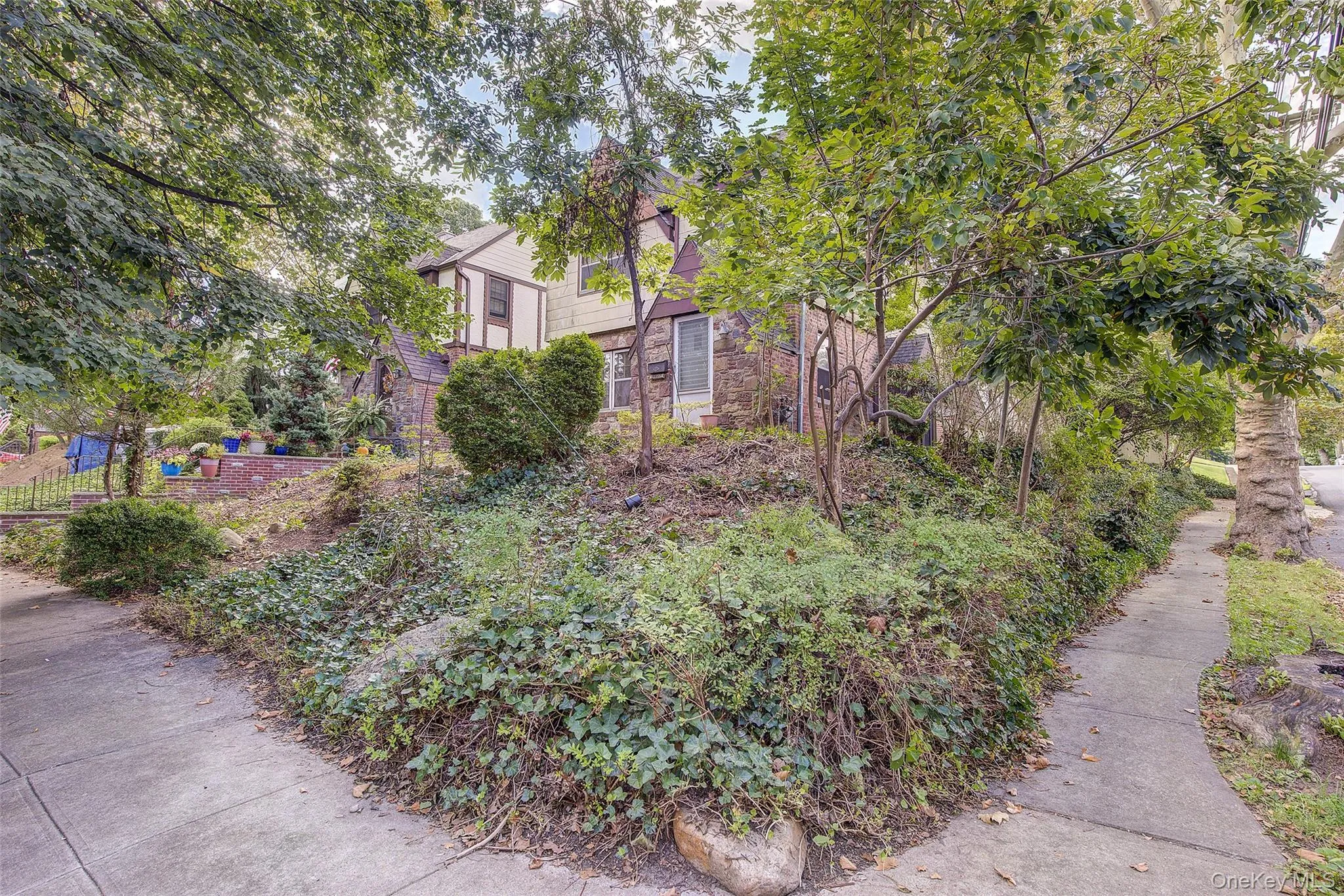50-02 245th Street, New York, NY, 3 Bedrooms Bedrooms, 6 Rooms Rooms,1 BathroomBathrooms,Residential,For Rent,245th,0,1050475 50-02 245th Street, New York, NY, 3 Bedrooms Bedrooms, 6 Rooms Rooms,1 BathroomBathrooms,Residential,For Rent,245th,0,1050475