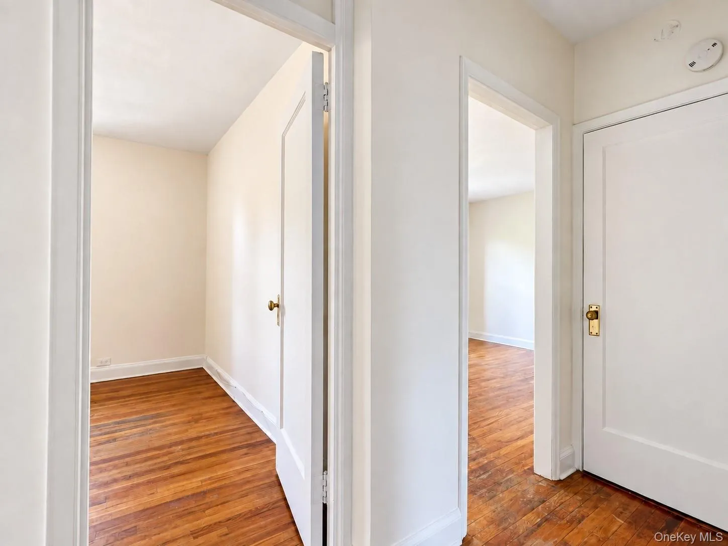 43-10 48 Avenue, New York, NY, 2 Bedrooms Bedrooms, 4 Rooms Rooms,1 BathroomBathrooms,Residential,For Rent,48,0,1050512 43-10 48 Avenue, New York, NY, 2 Bedrooms Bedrooms, 4 Rooms Rooms,1 BathroomBathrooms,Residential,For Rent,48,0,1050512