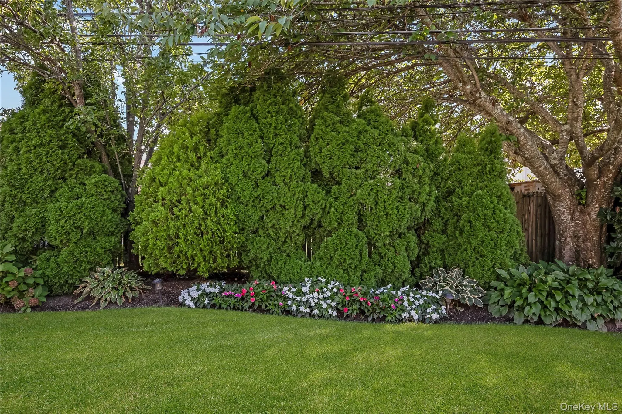 42 Grey Lane, Hempstead, NY, 5 Bedrooms Bedrooms, 10 Rooms Rooms,2 BathroomsBathrooms,Residential,For Rent,Grey,0,1050522 42 Grey Lane, Hempstead, NY, 5 Bedrooms Bedrooms, 10 Rooms Rooms,2 BathroomsBathrooms,Residential,For Rent,Grey,0,1050522