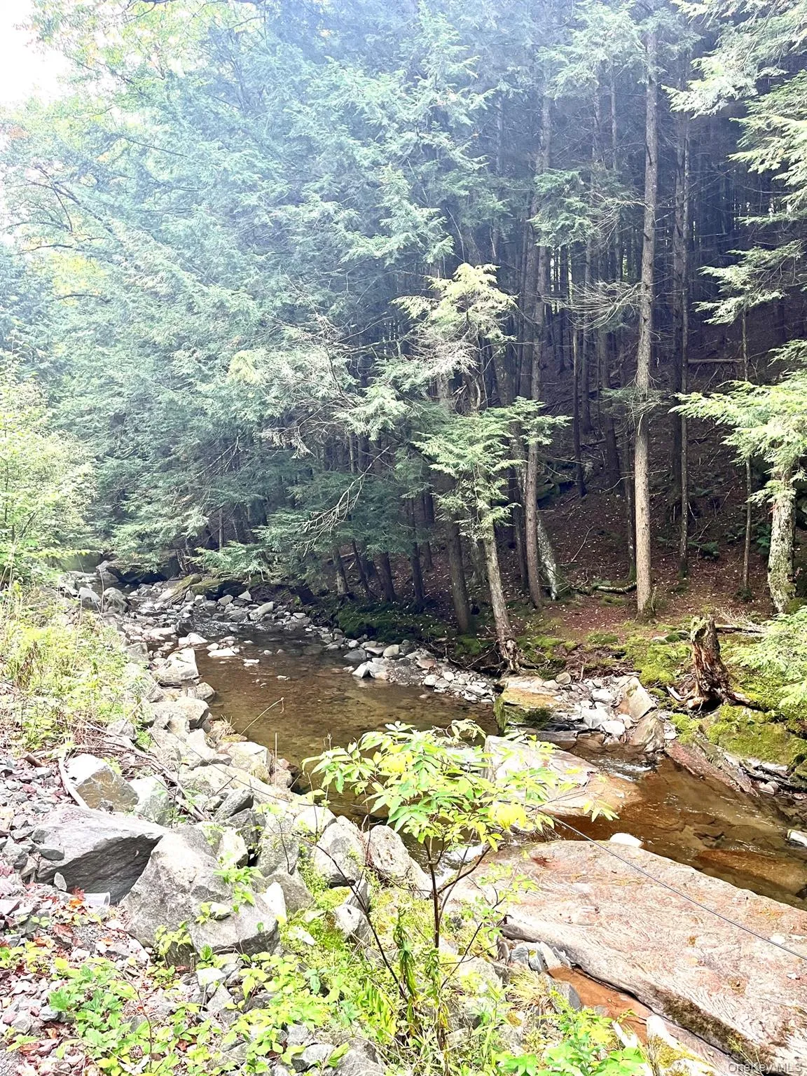 53 Lakeview Road, Bethel, NY, 2 Bedrooms Bedrooms, 5 Rooms Rooms,2 BathroomsBathrooms,Residential,For Rent,Lakeview,0,1050532 53 Lakeview Road, Bethel, NY, 2 Bedrooms Bedrooms, 5 Rooms Rooms,2 BathroomsBathrooms,Residential,For Rent,Lakeview,0,1050532