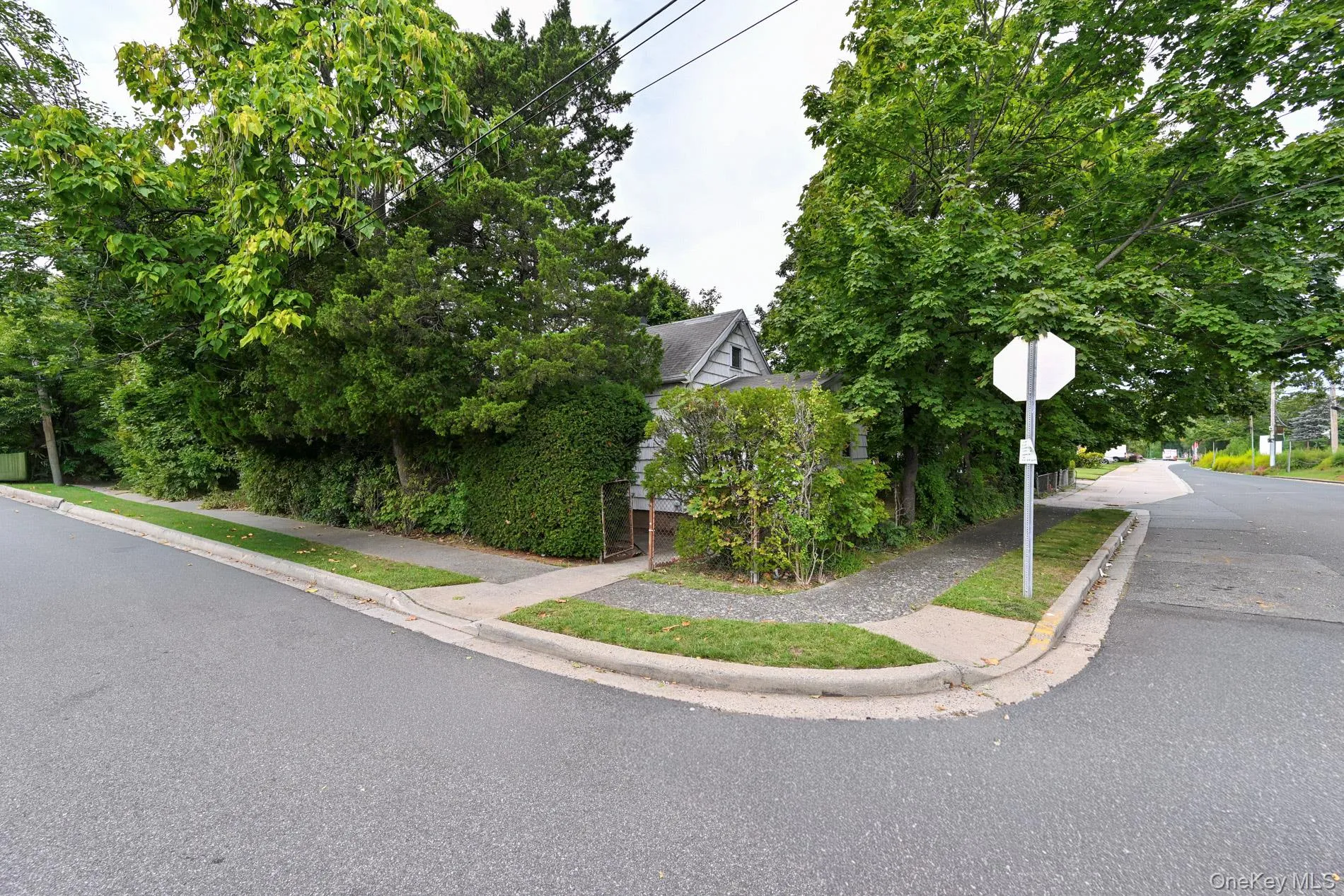 41 Porter Street, Hempstead, NY, 3 Bedrooms Bedrooms, 5 Rooms Rooms,1 BathroomBathrooms,Residential,For Rent,Porter,0,1050566 41 Porter Street, Hempstead, NY, 3 Bedrooms Bedrooms, 5 Rooms Rooms,1 BathroomBathrooms,Residential,For Rent,Porter,0,1050566