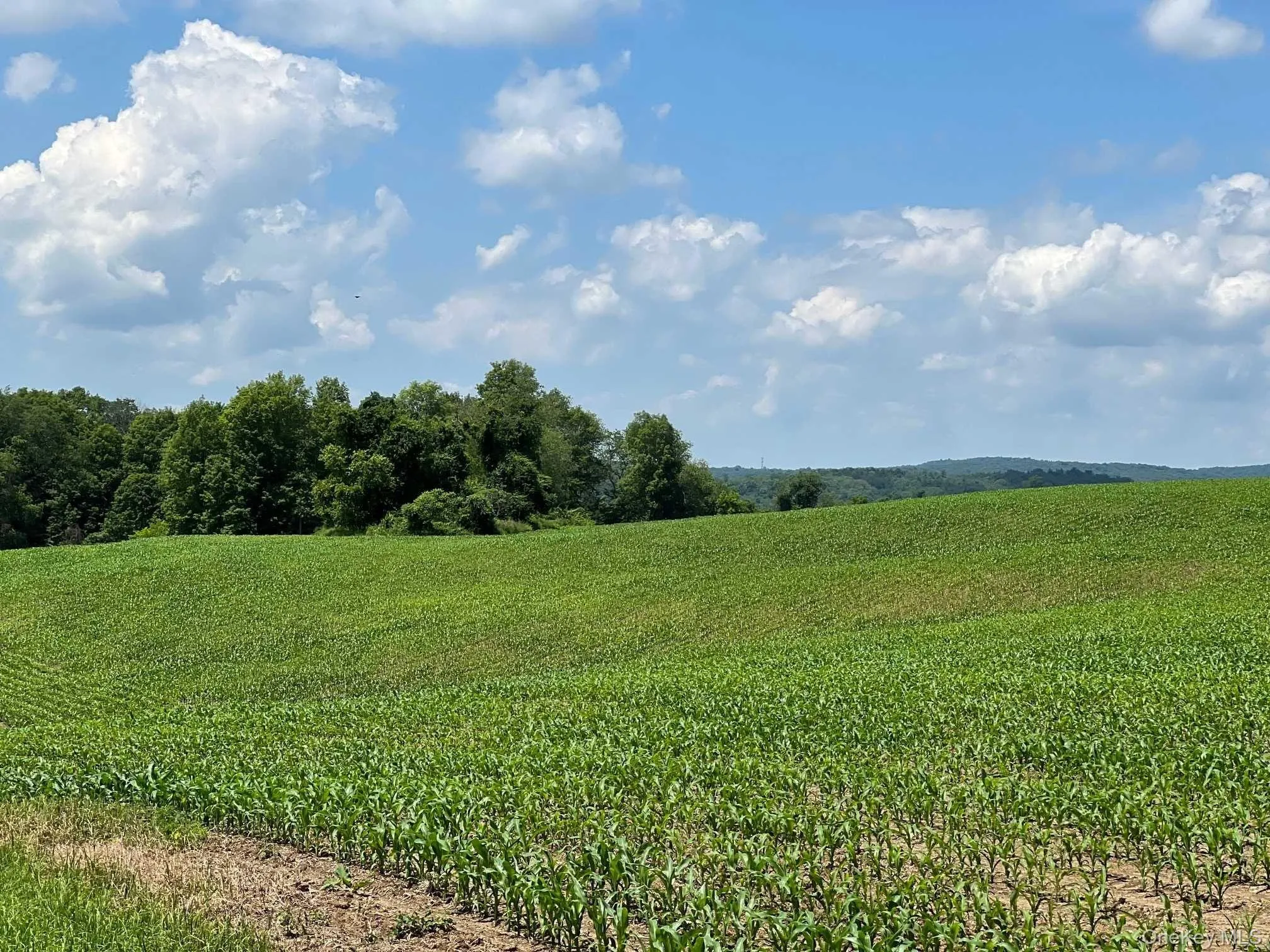 ROUTE 82, Ancram, NY, ,Land,For Rent,ROUTE 82,0,1050593 ROUTE 82, Ancram, NY, ,Land,For Rent,ROUTE 82,0,1050593
