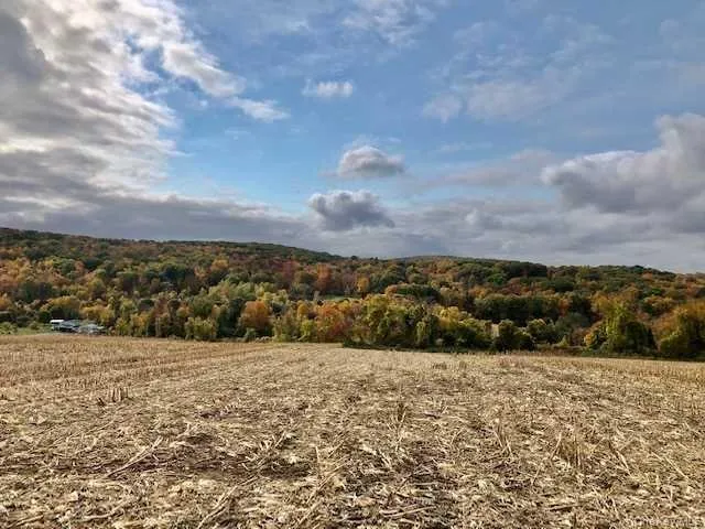 ROUTE 82, Ancram, NY, ,Land,For Rent,ROUTE 82,0,1050593 ROUTE 82, Ancram, NY, ,Land,For Rent,ROUTE 82,0,1050593