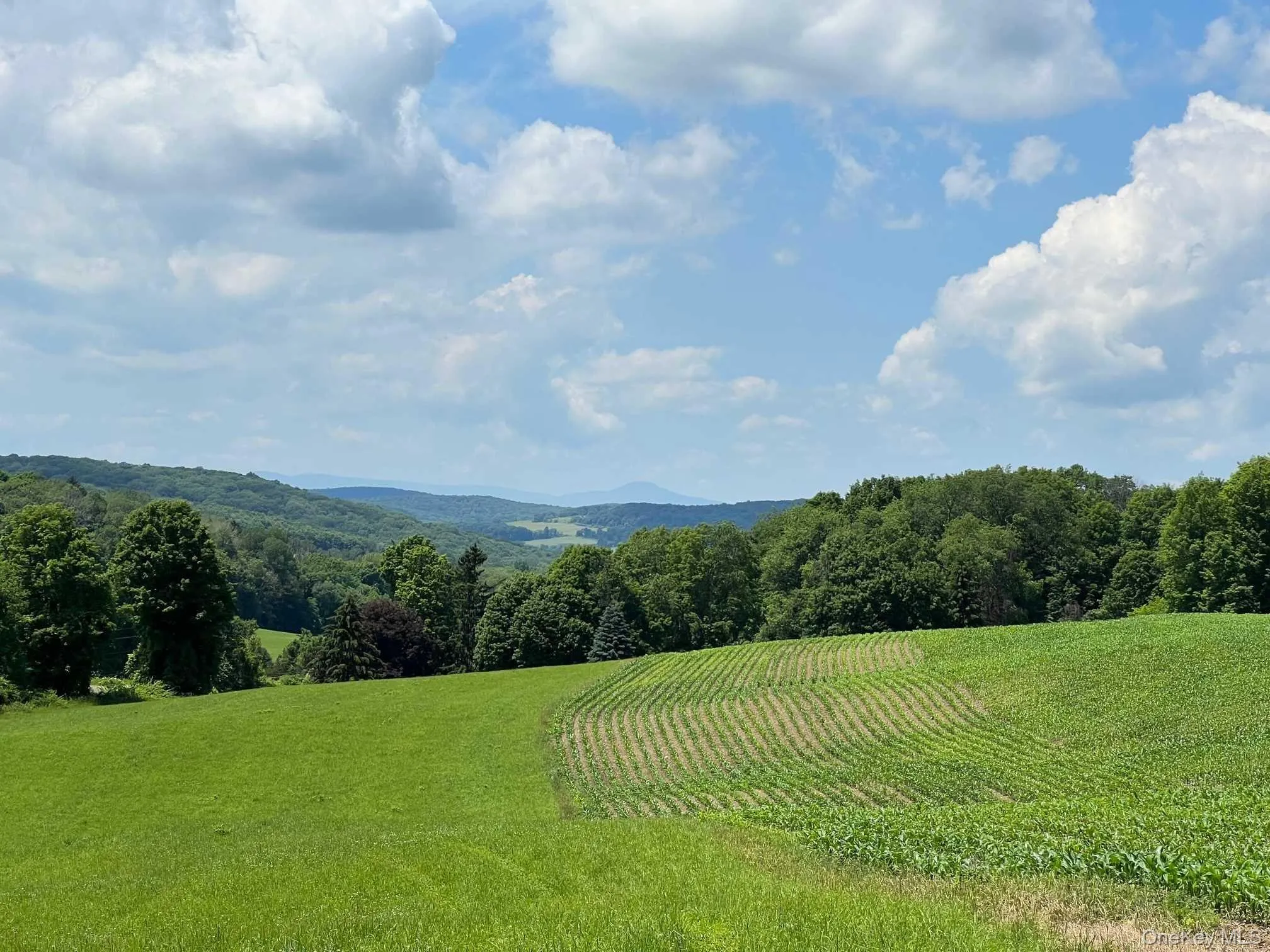 ROUTE 82, Ancram, NY, ,Land,For Rent,ROUTE 82,0,1050593 ROUTE 82, Ancram, NY, ,Land,For Rent,ROUTE 82,0,1050593