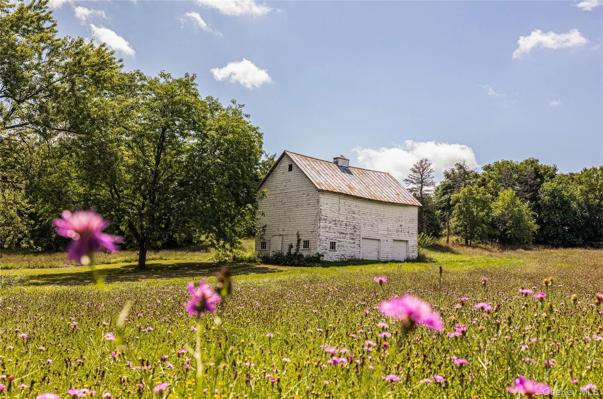 725 Route 66, Claverack, NY, 4 Bedrooms Bedrooms, 10 Rooms Rooms,2 BathroomsBathrooms,Residential,For Rent,Route 66,0,1050604 725 Route 66, Claverack, NY, 4 Bedrooms Bedrooms, 10 Rooms Rooms,2 BathroomsBathrooms,Residential,For Rent,Route 66,0,1050604