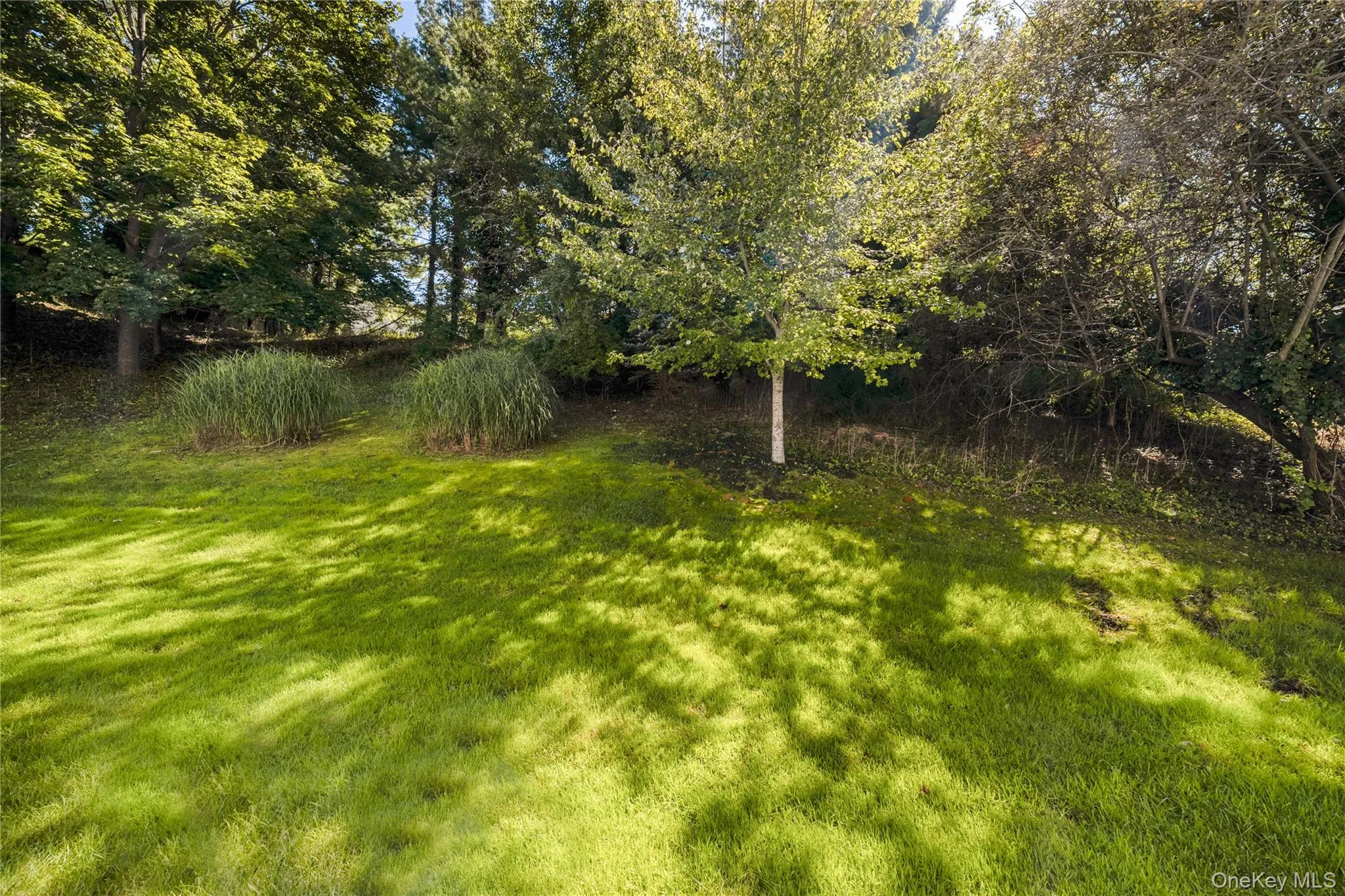 203 Windward Court, Brookhaven, NY, 3 Bedrooms Bedrooms, 6 Rooms Rooms,2 BathroomsBathrooms,Residential,For Rent,Windward,0,1050644 203 Windward Court, Brookhaven, NY, 3 Bedrooms Bedrooms, 6 Rooms Rooms,2 BathroomsBathrooms,Residential,For Rent,Windward,0,1050644