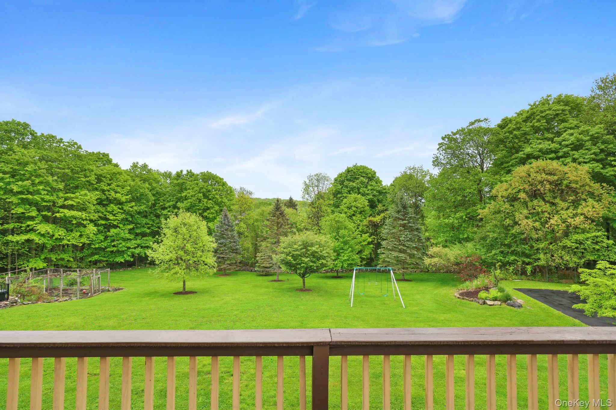 Back yard Back yard