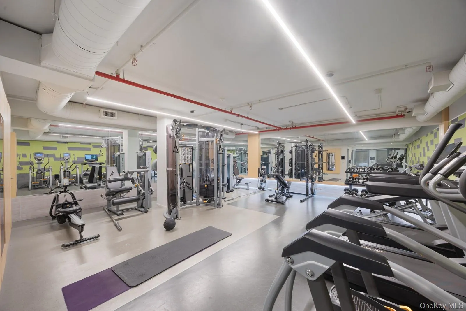 Fitness Room Fitness Room