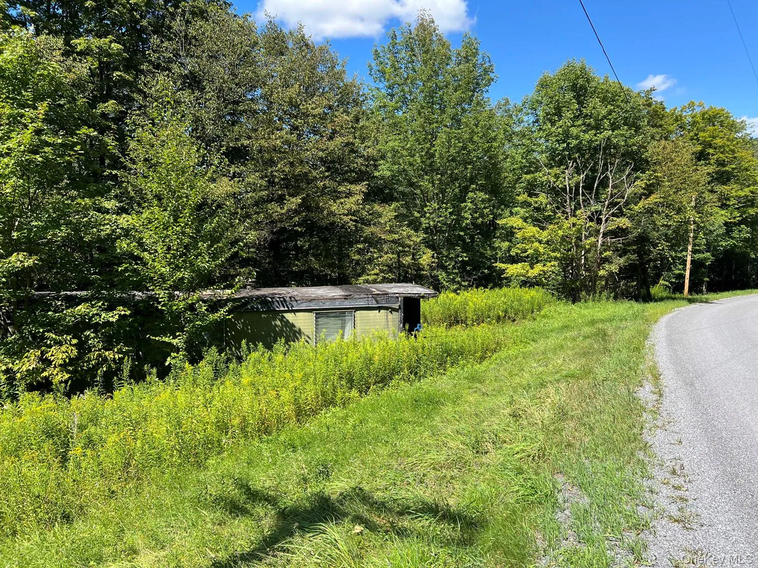 5790 Cr-28, Hancock, NY, ,Land,For Rent,Cr-28,0,1050673 5790 Cr-28, Hancock, NY, ,Land,For Rent,Cr-28,0,1050673