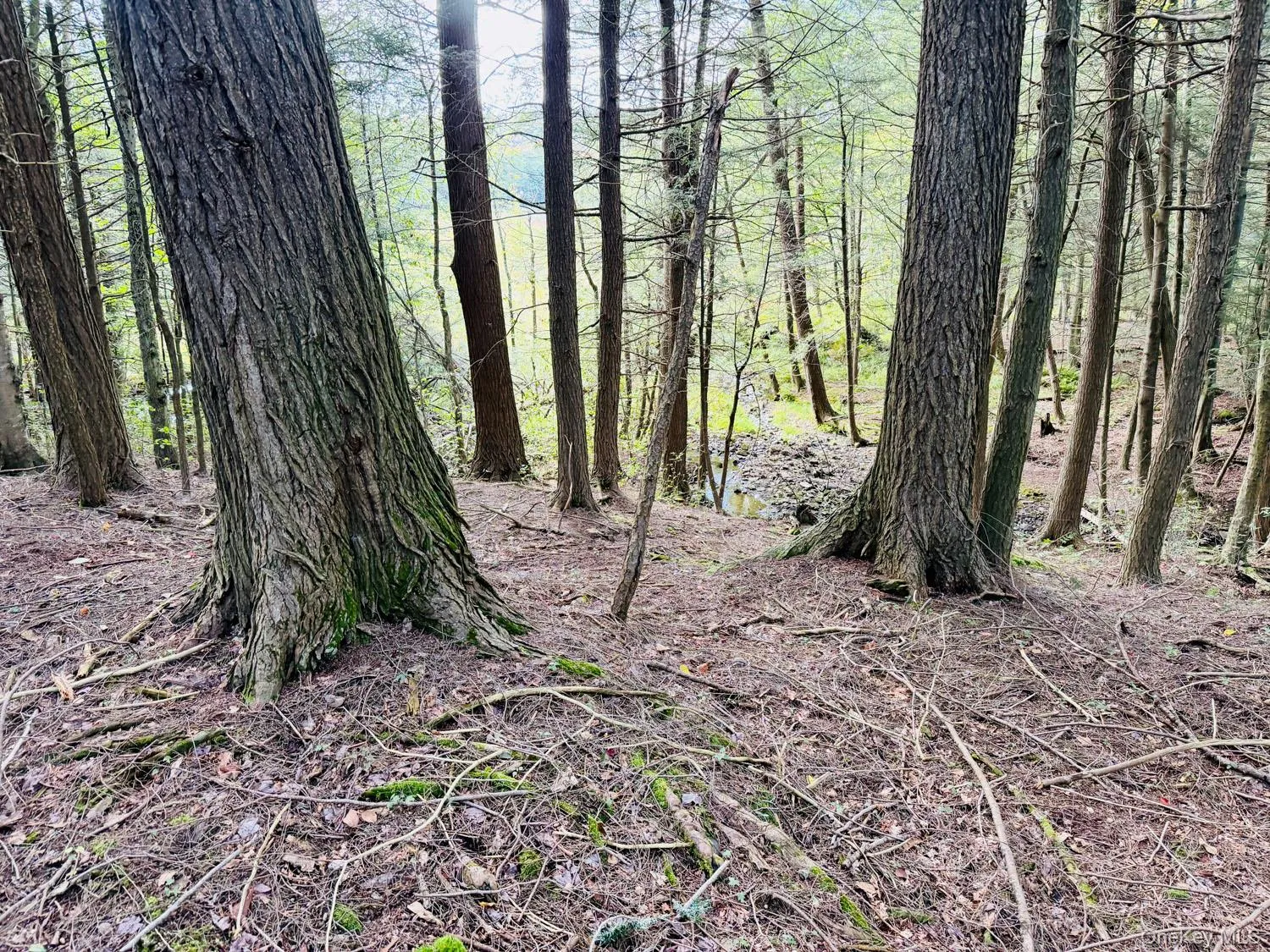 5790 Cr-28, Hancock, NY, ,Land,For Rent,Cr-28,0,1050673 5790 Cr-28, Hancock, NY, ,Land,For Rent,Cr-28,0,1050673