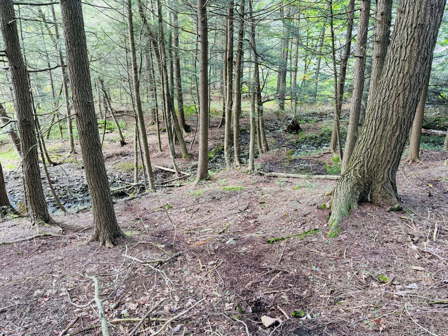 5790 Cr-28, Hancock, NY, ,Land,For Rent,Cr-28,0,1050673 5790 Cr-28, Hancock, NY, ,Land,For Rent,Cr-28,0,1050673