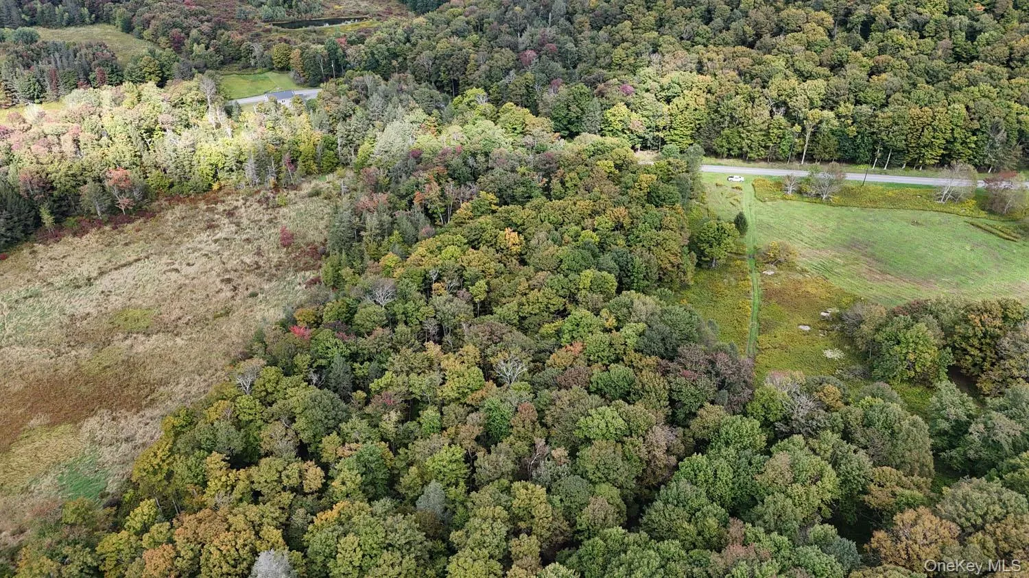5790 Cr-28, Hancock, NY, ,Land,For Rent,Cr-28,0,1050673 5790 Cr-28, Hancock, NY, ,Land,For Rent,Cr-28,0,1050673