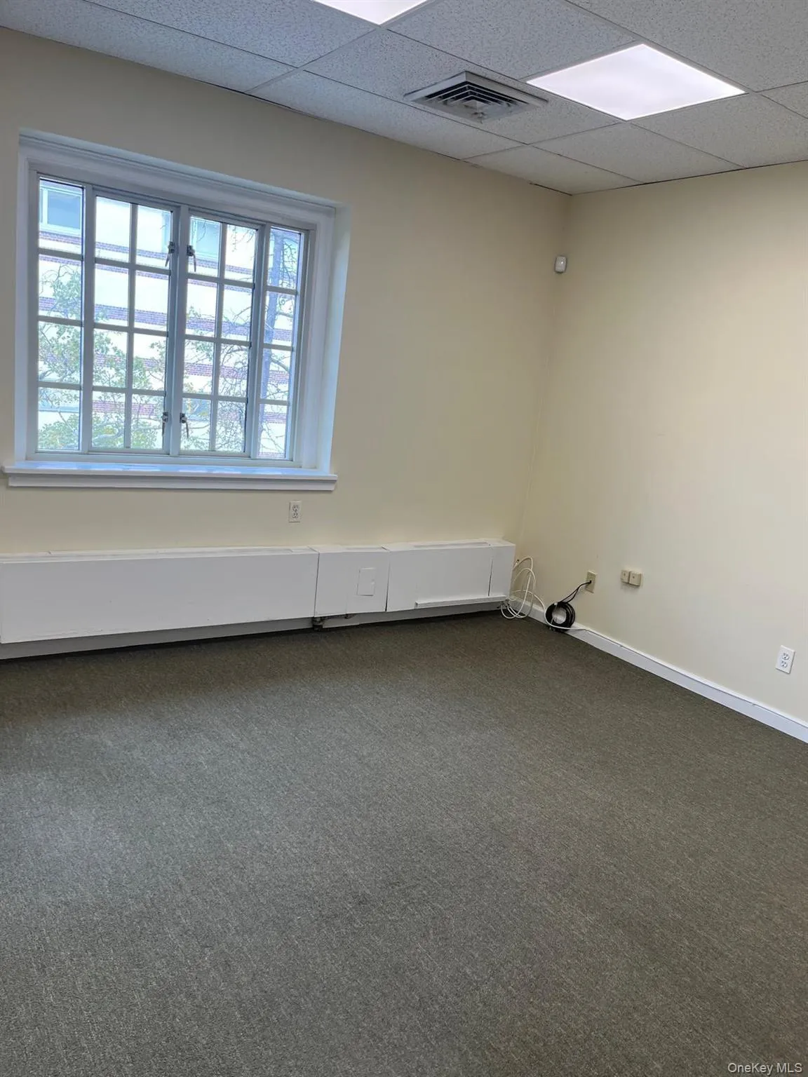 37-06 82nd Street Street, New York, NY, ,Commercial Lease,For Rent,82nd Street,0,1050680 37-06 82nd Street Street, New York, NY, ,Commercial Lease,For Rent,82nd Street,0,1050680