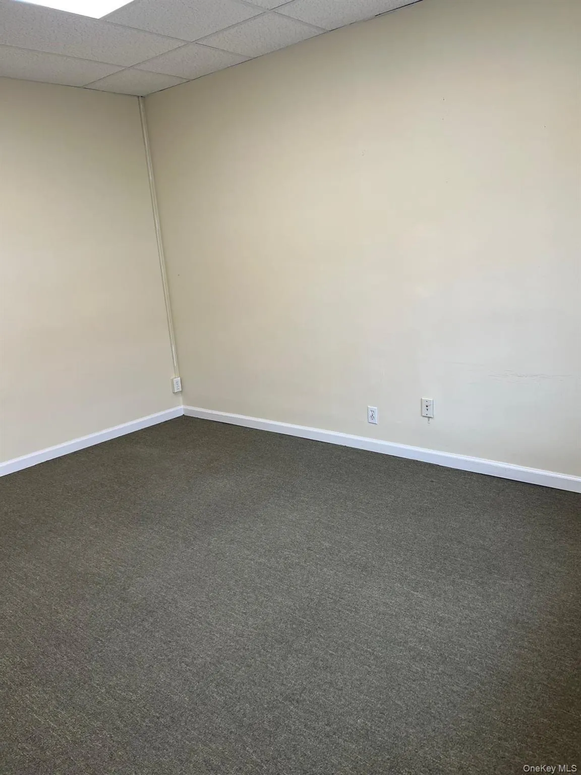 37-06 82nd Street Street, New York, NY, ,Commercial Lease,For Rent,82nd Street,0,1050680 37-06 82nd Street Street, New York, NY, ,Commercial Lease,For Rent,82nd Street,0,1050680