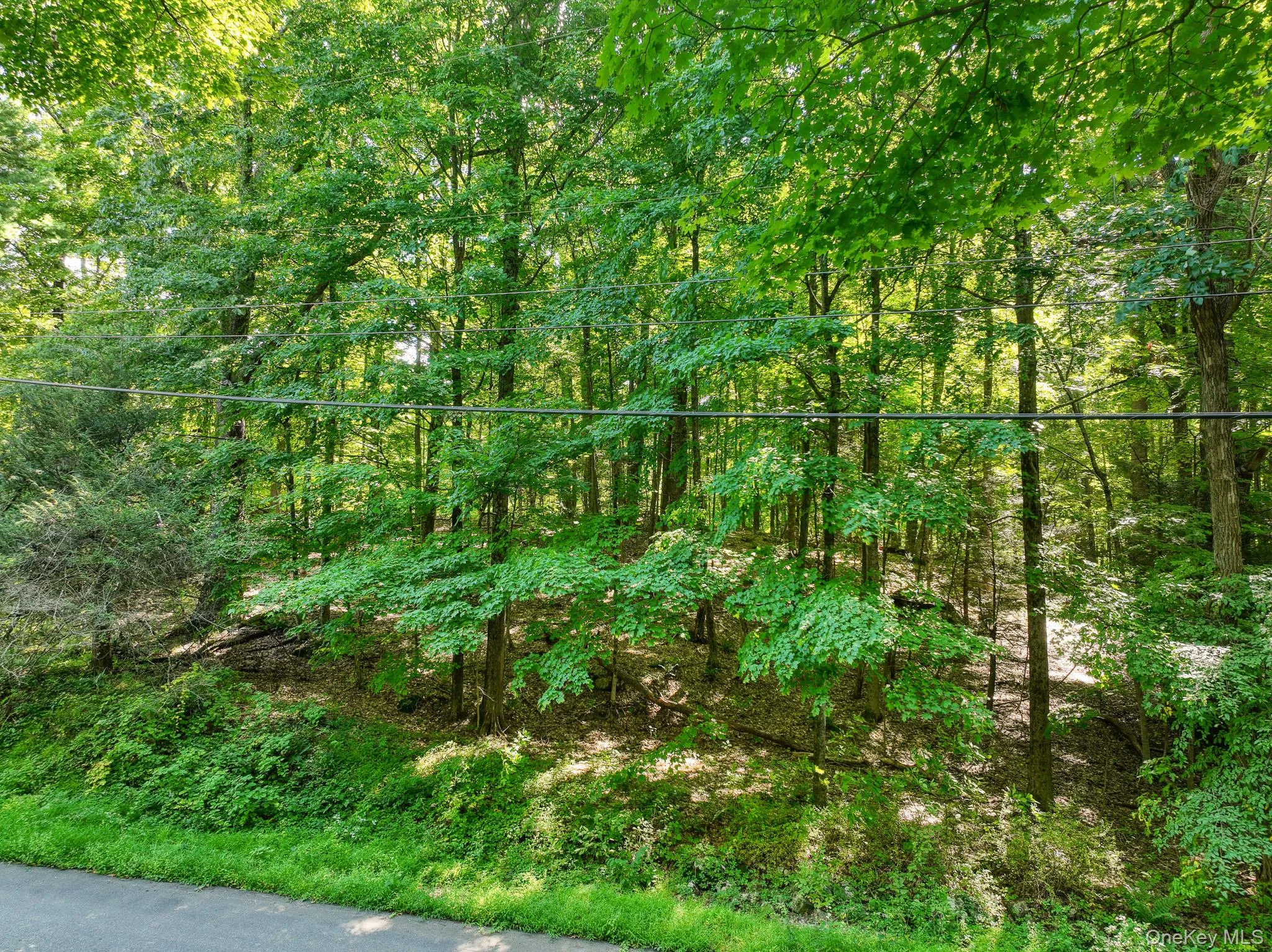 105 Carney, Esopus, NY, ,Land,For Rent,Carney,0,1050781 105 Carney, Esopus, NY, ,Land,For Rent,Carney,0,1050781