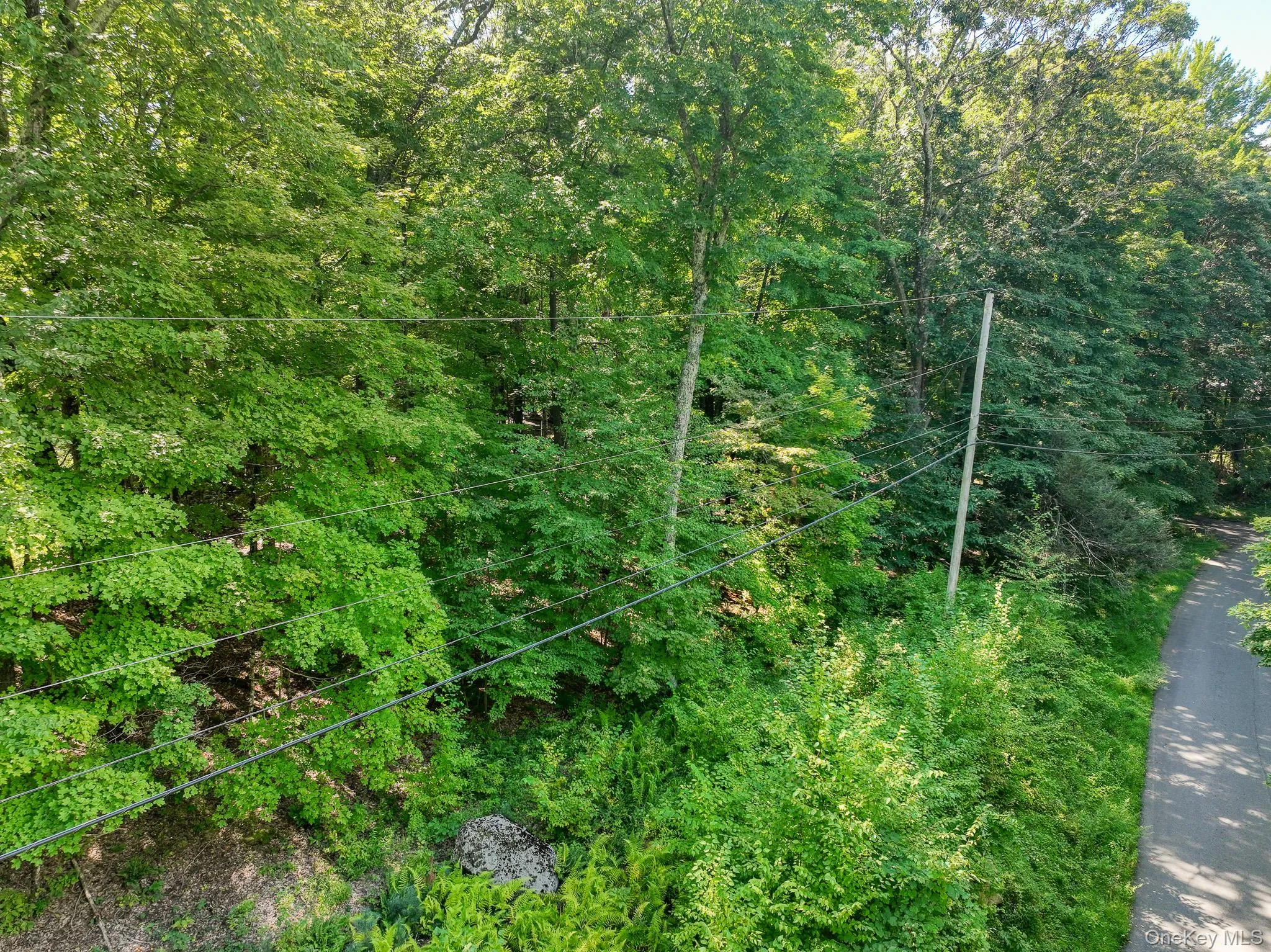 105 Carney, Esopus, NY, ,Land,For Rent,Carney,0,1050781 105 Carney, Esopus, NY, ,Land,For Rent,Carney,0,1050781