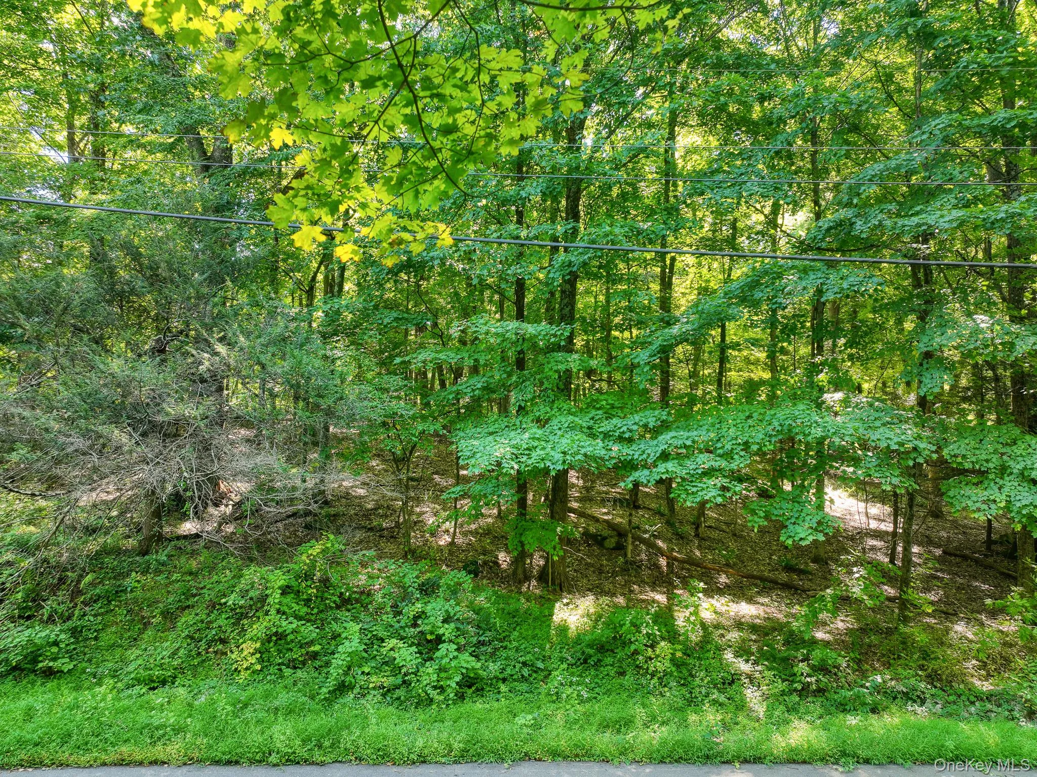 105 Carney, Esopus, NY, ,Land,For Rent,Carney,0,1050781 105 Carney, Esopus, NY, ,Land,For Rent,Carney,0,1050781