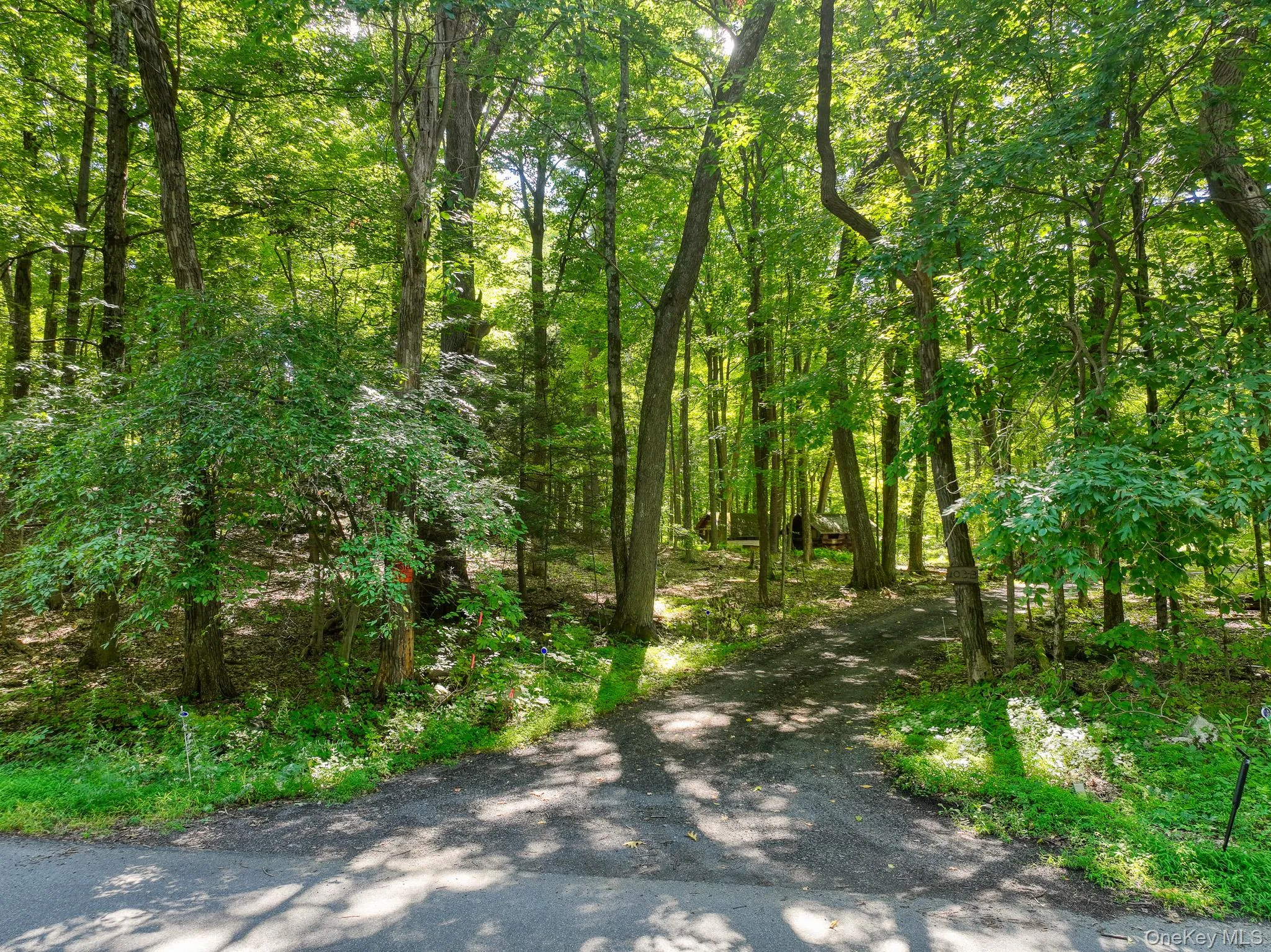 105 Carney, Esopus, NY, ,Land,For Rent,Carney,0,1050781 105 Carney, Esopus, NY, ,Land,For Rent,Carney,0,1050781