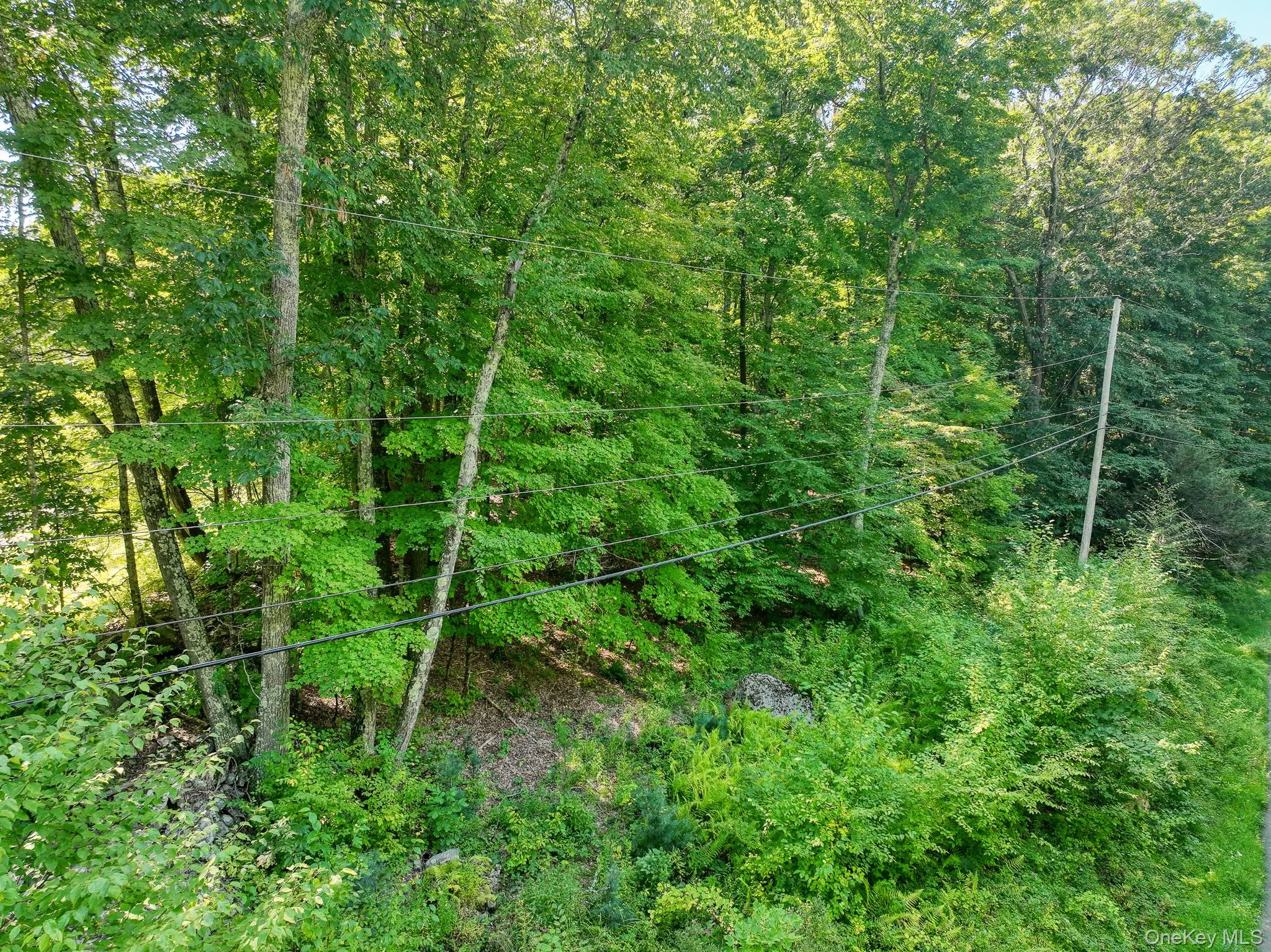 105 Carney, Esopus, NY, ,Land,For Rent,Carney,0,1050781 105 Carney, Esopus, NY, ,Land,For Rent,Carney,0,1050781