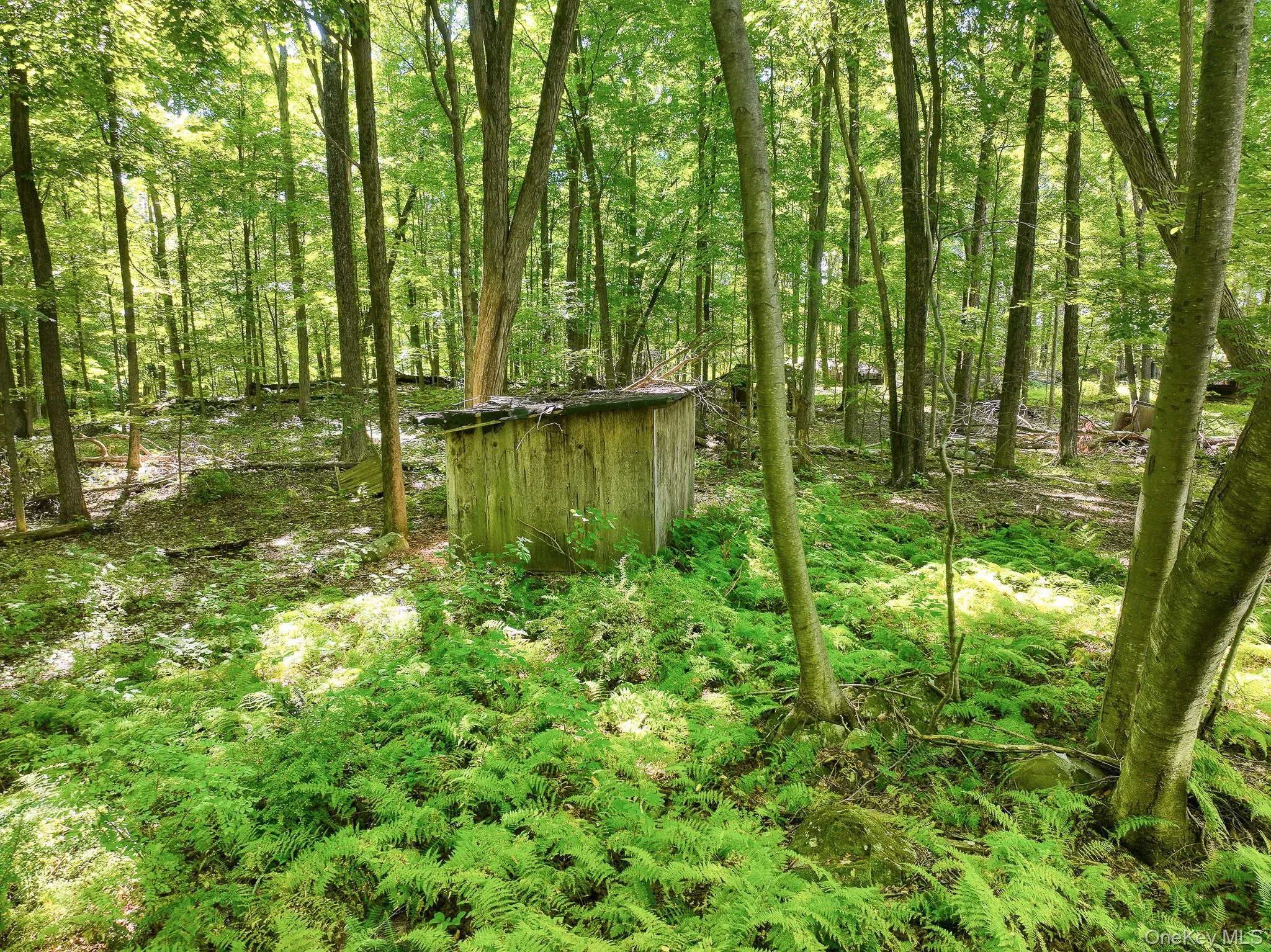 105 Carney, Esopus, NY, ,Land,For Rent,Carney,0,1050781 105 Carney, Esopus, NY, ,Land,For Rent,Carney,0,1050781