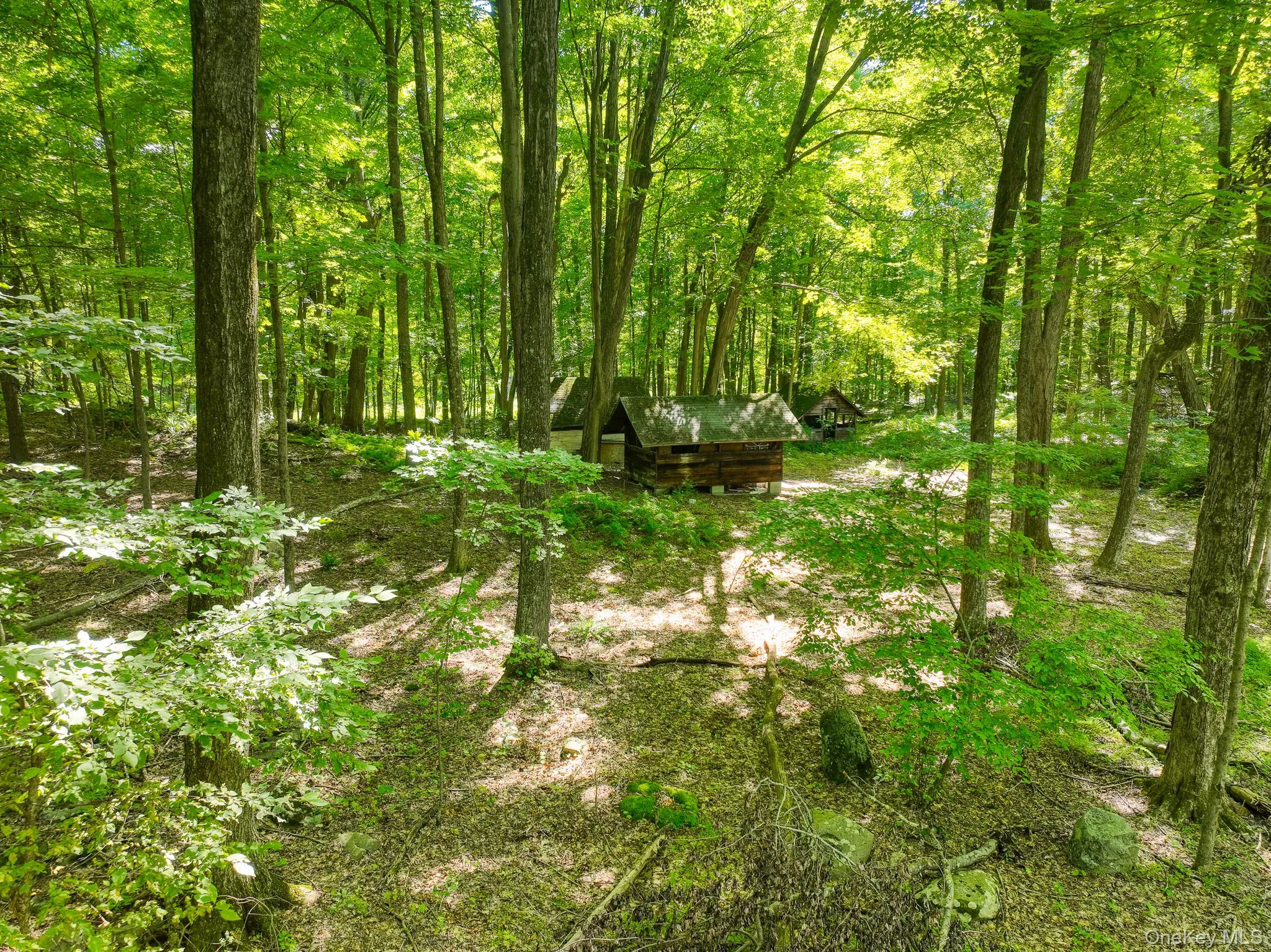 105 Carney, Esopus, NY, ,Land,For Rent,Carney,0,1050781 105 Carney, Esopus, NY, ,Land,For Rent,Carney,0,1050781