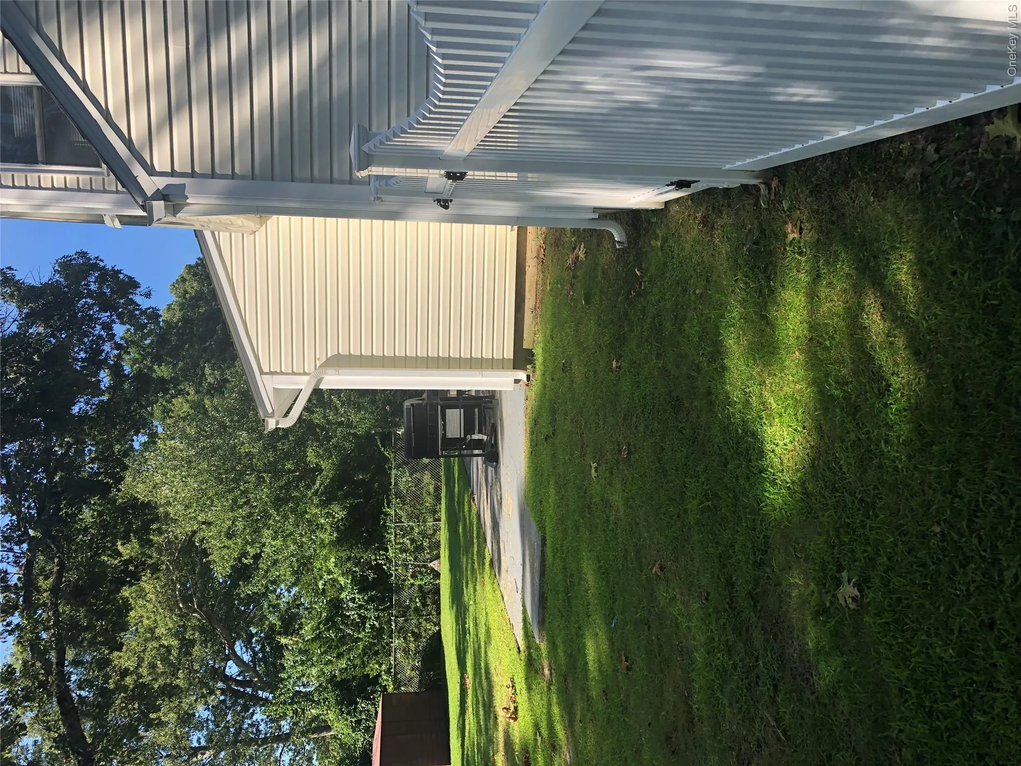 backyard backyard