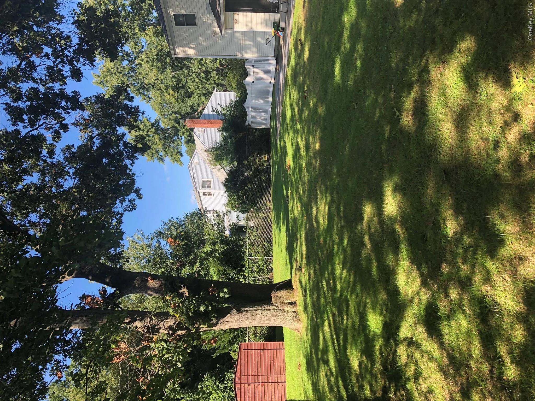 backyard backyard