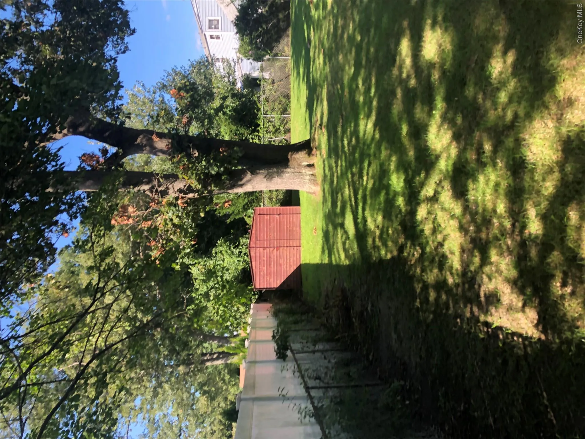 backyard backyard