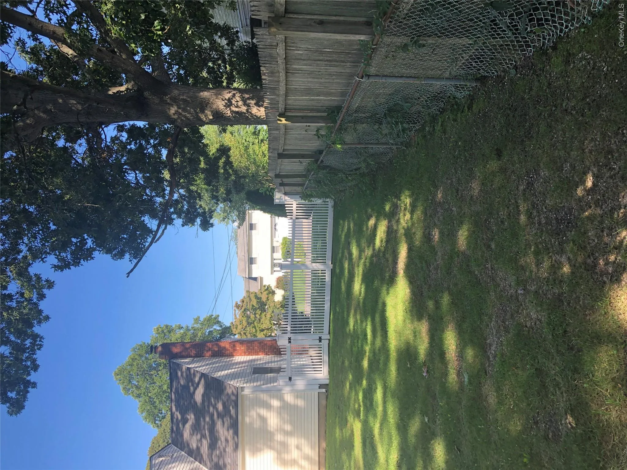 backyard backyard