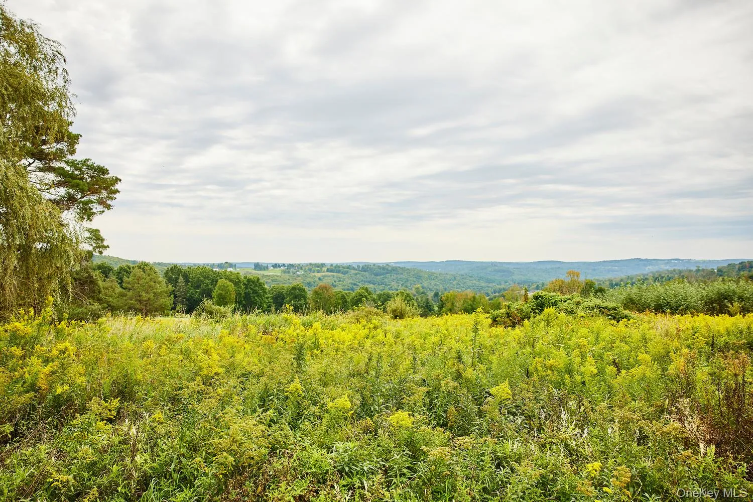 519 Route 164, Delaware, NY, 4 Bedrooms Bedrooms, 6 Rooms Rooms,2 BathroomsBathrooms,Residential,For Rent,Route 164,0,1050796 519 Route 164, Delaware, NY, 4 Bedrooms Bedrooms, 6 Rooms Rooms,2 BathroomsBathrooms,Residential,For Rent,Route 164,0,1050796