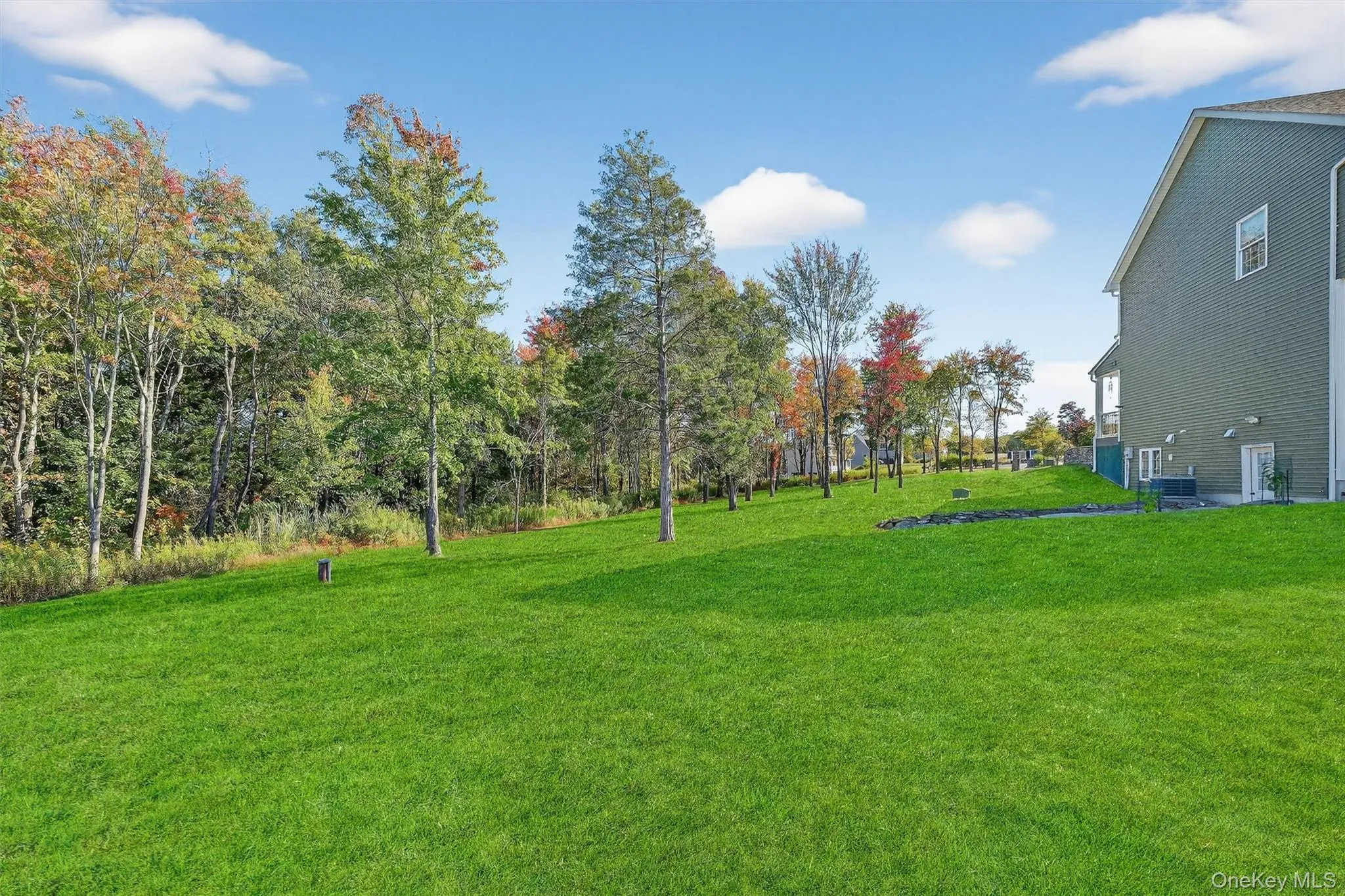 Expansive green lawn with mature trees and natural landscaping Expansive green lawn with mature trees and natural landscaping