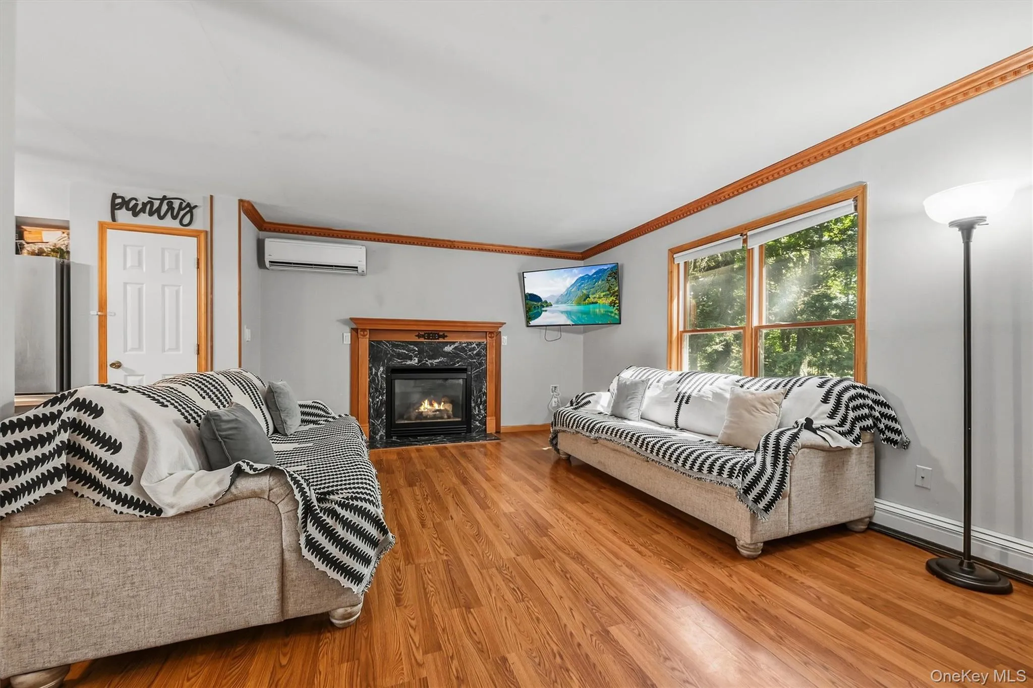 Wood-finish flooring, corner fireplace with dark stone surround, white trim door, and detailed crown molding Wood-finish flooring, corner fireplace with dark stone surround, white trim door, and detailed crown molding