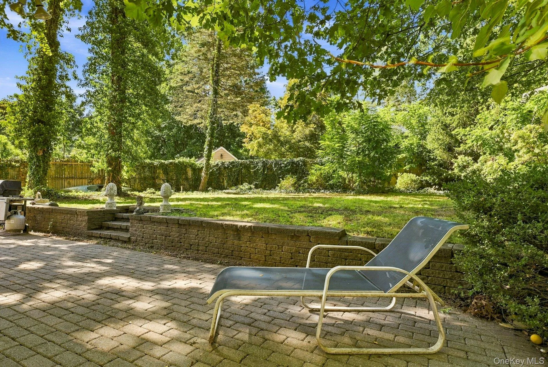 Backyard and patio Backyard and patio