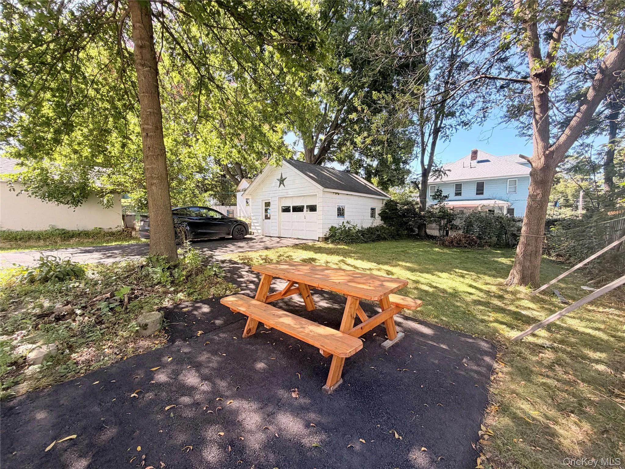 backyard backyard